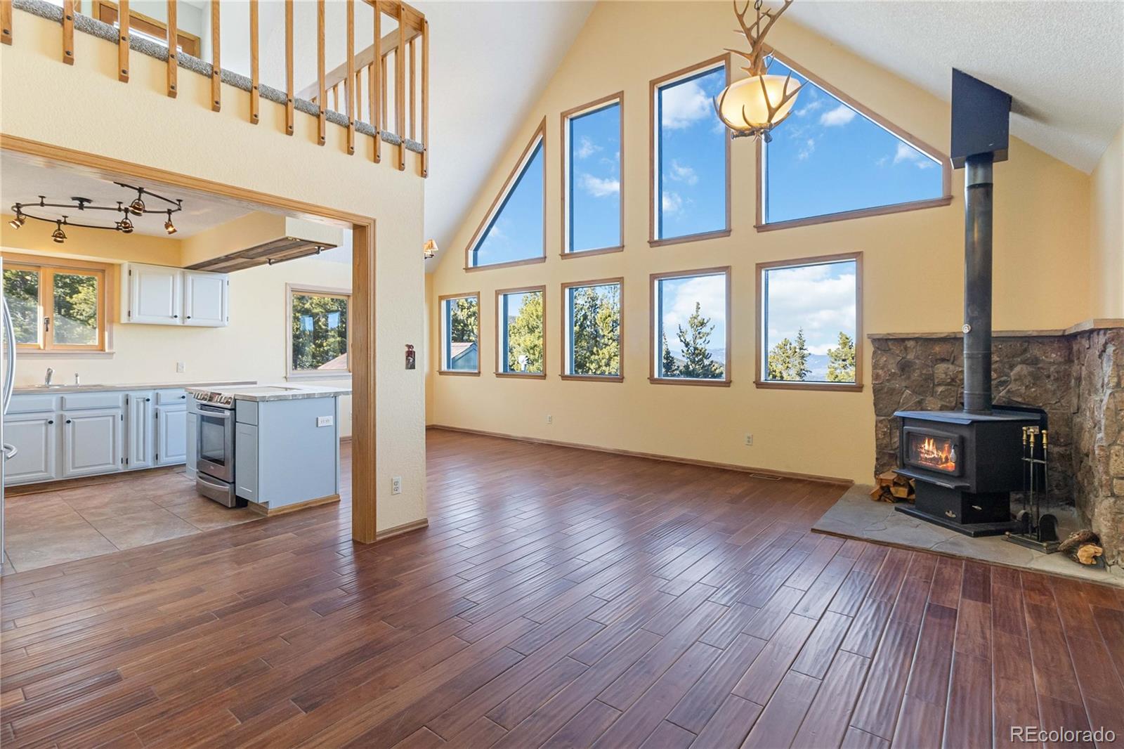 MLS Image #14 for 32155  edward drive,conifer, Colorado