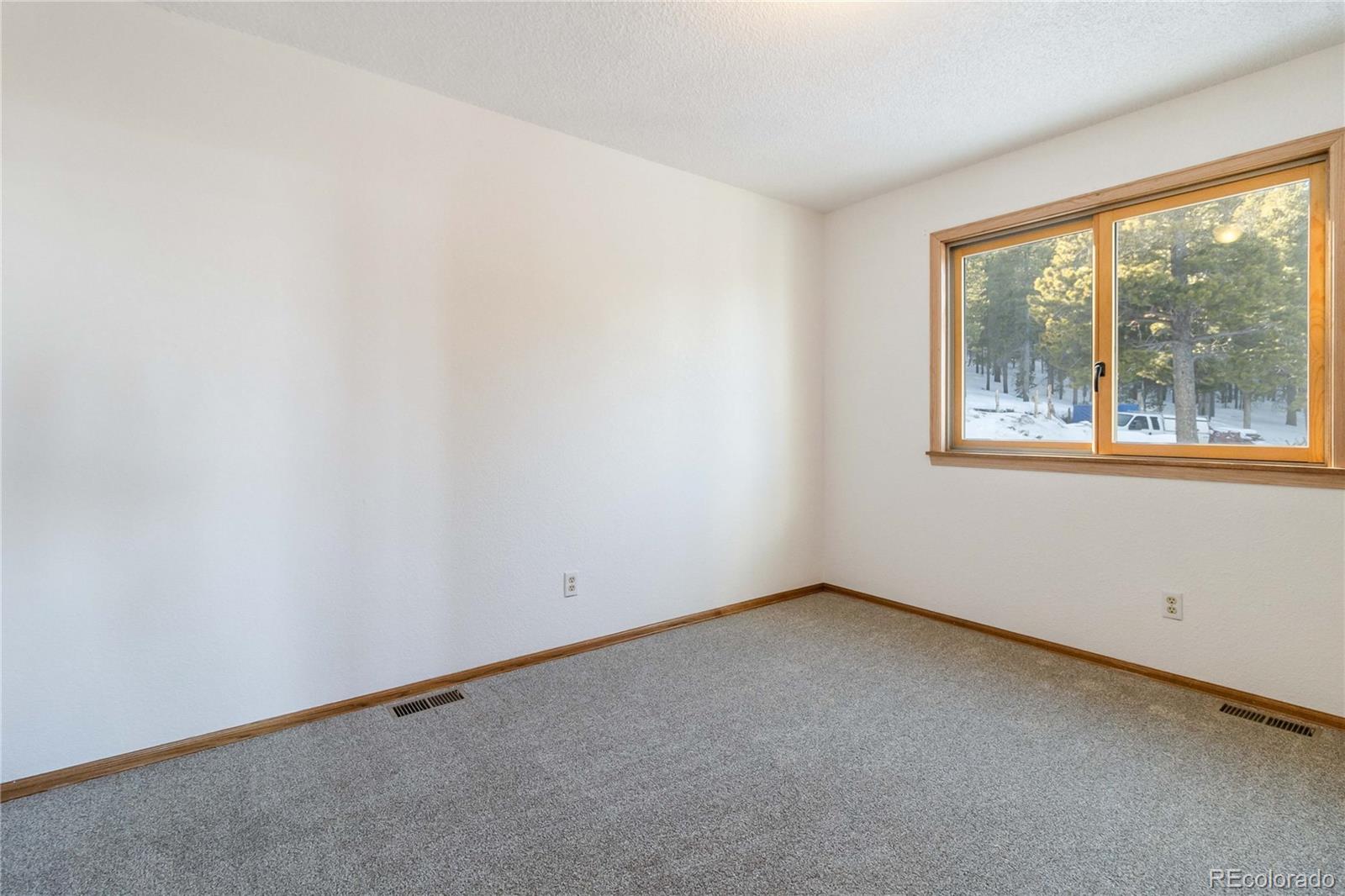 MLS Image #24 for 32155  edward drive,conifer, Colorado