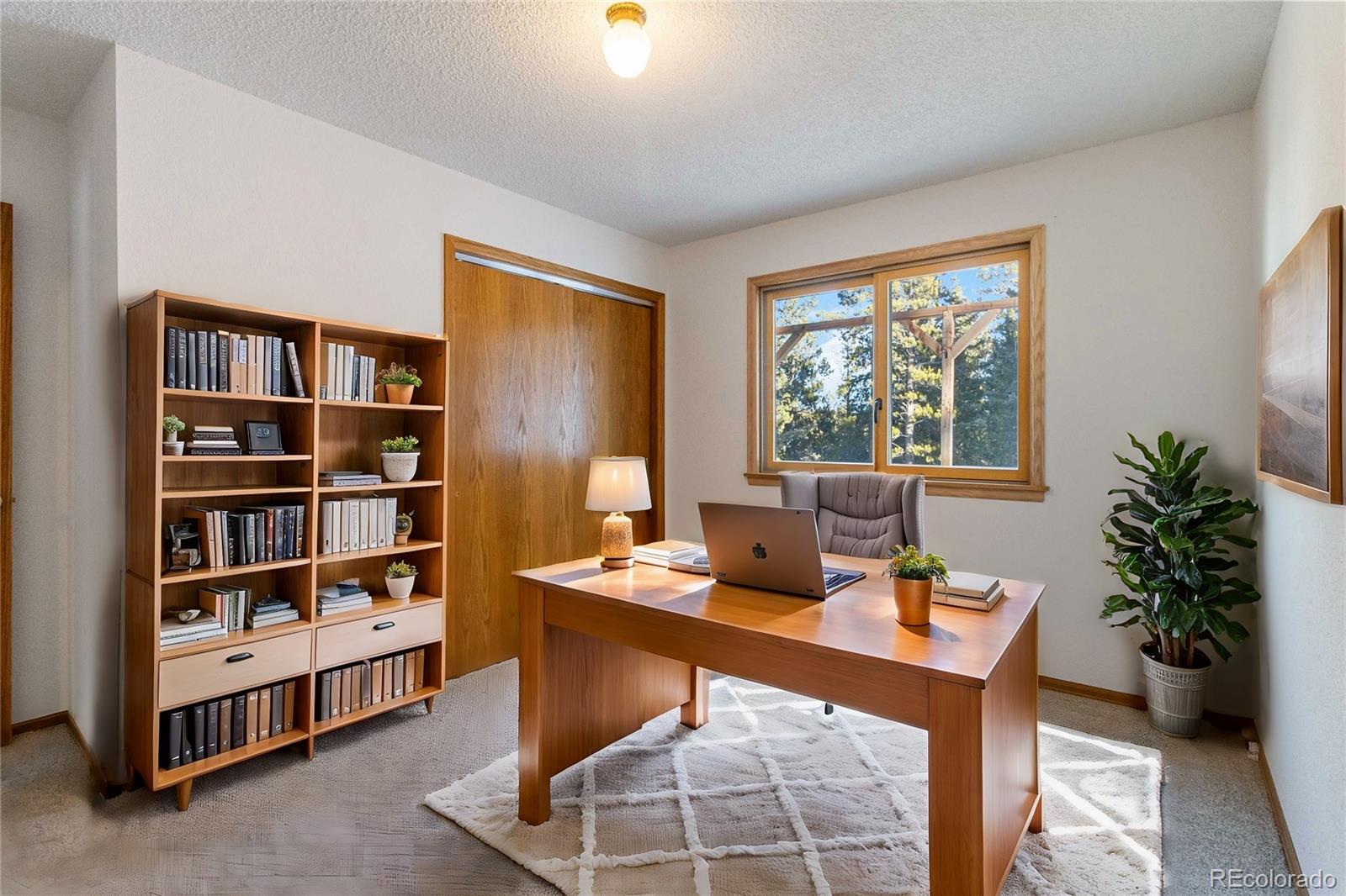 MLS Image #5 for 32155  edward drive,conifer, Colorado