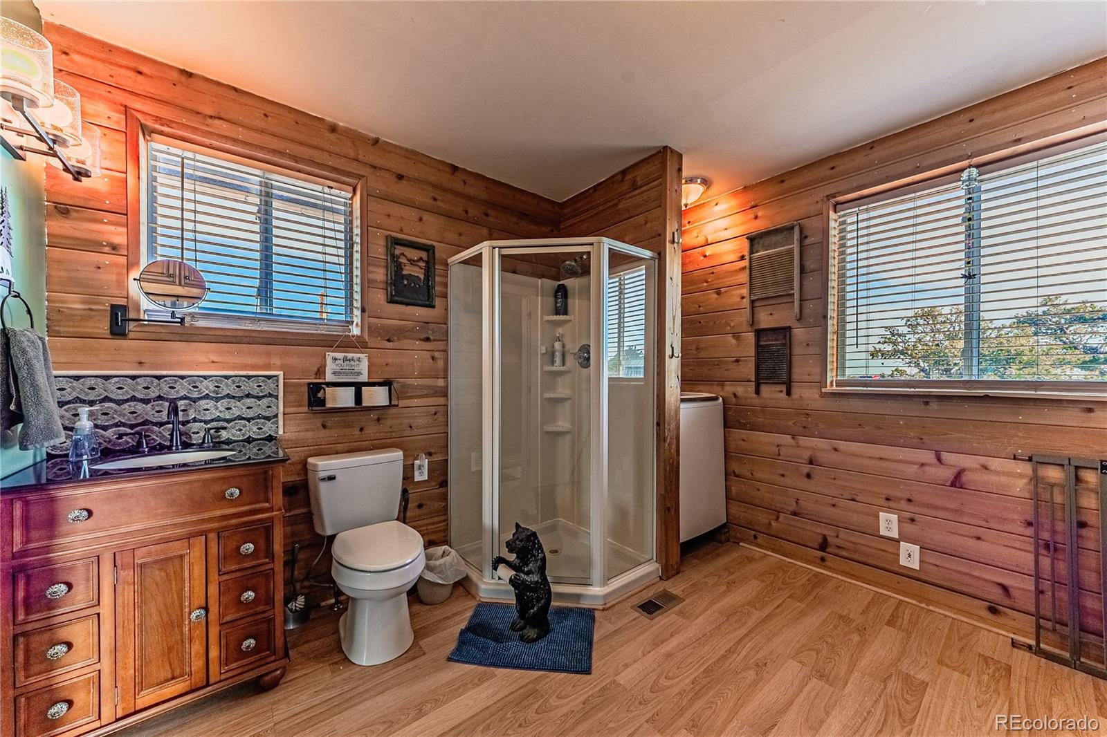 MLS Image #6 for 4074  comanche drive,walsenburg, Colorado