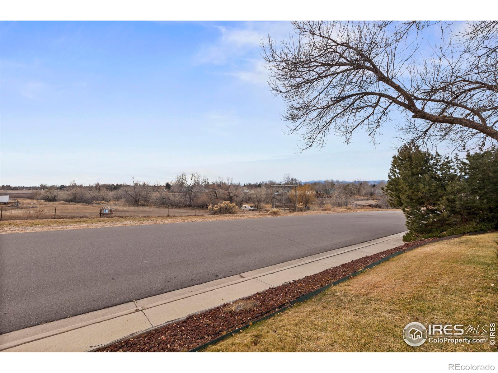 MLS Image #31 for 4306 n franklin avenue,loveland, Colorado