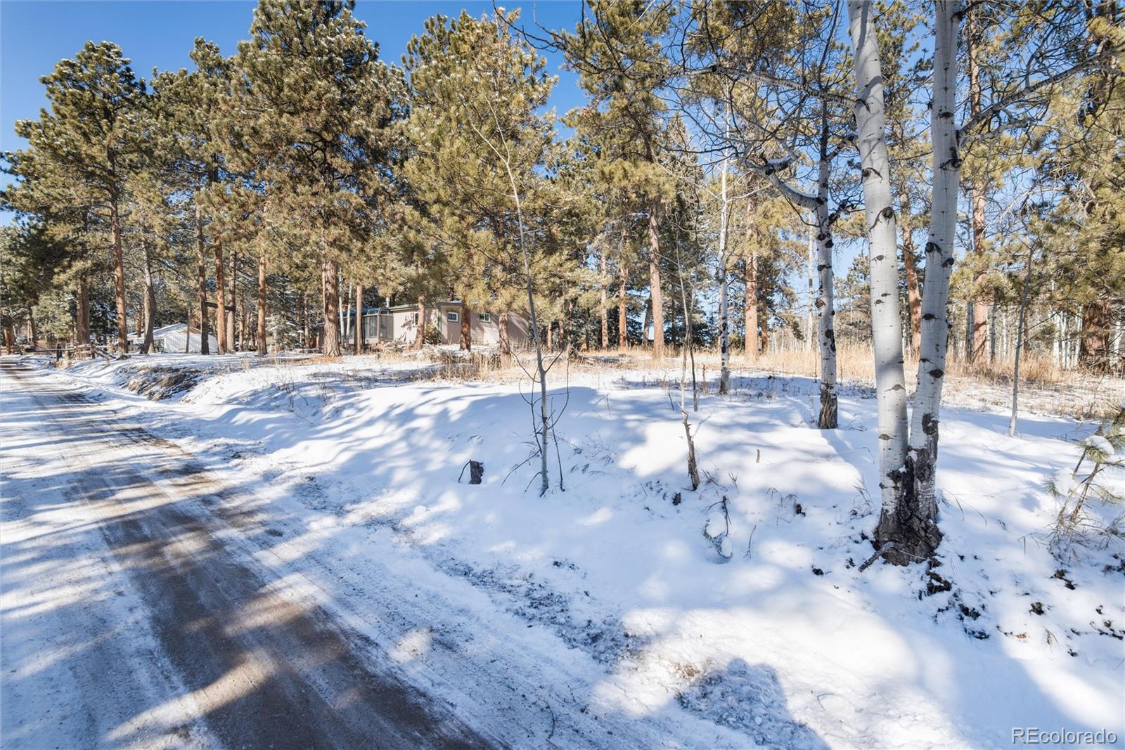 MLS Image #39 for 26347  de berry street,conifer, Colorado