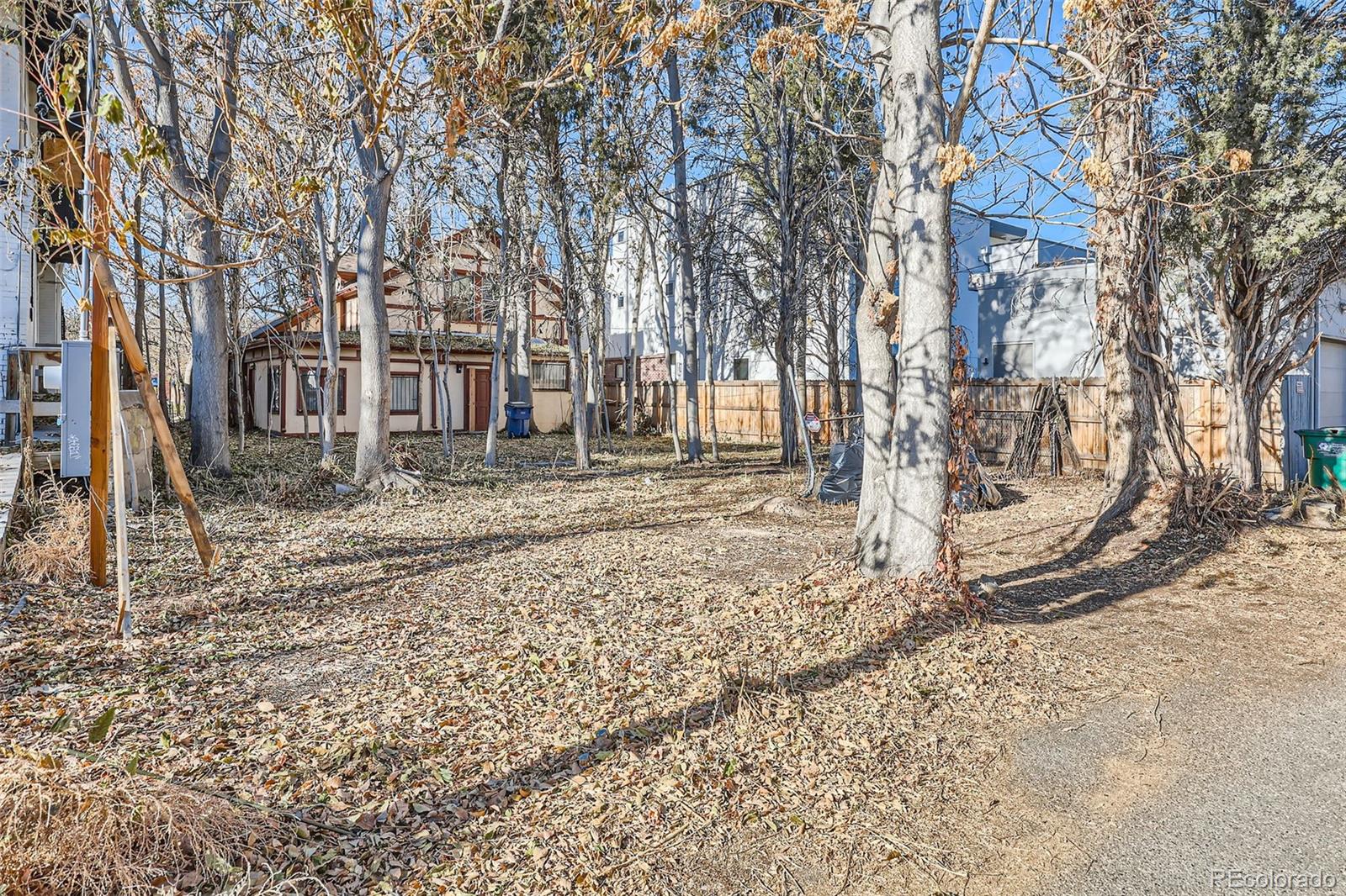 MLS Image #9 for 1816  race street,denver, Colorado