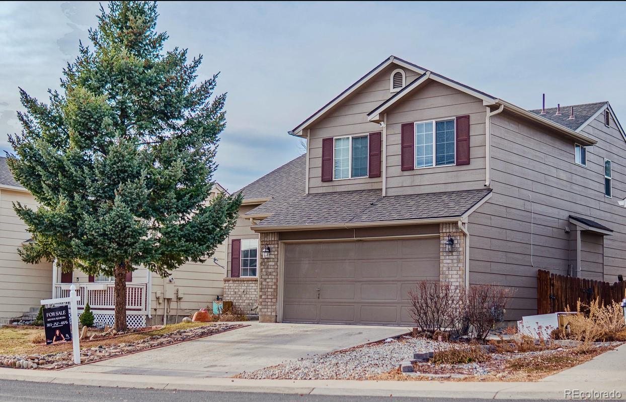 MLS Image #14 for 4211  deer watch drive,castle rock, Colorado