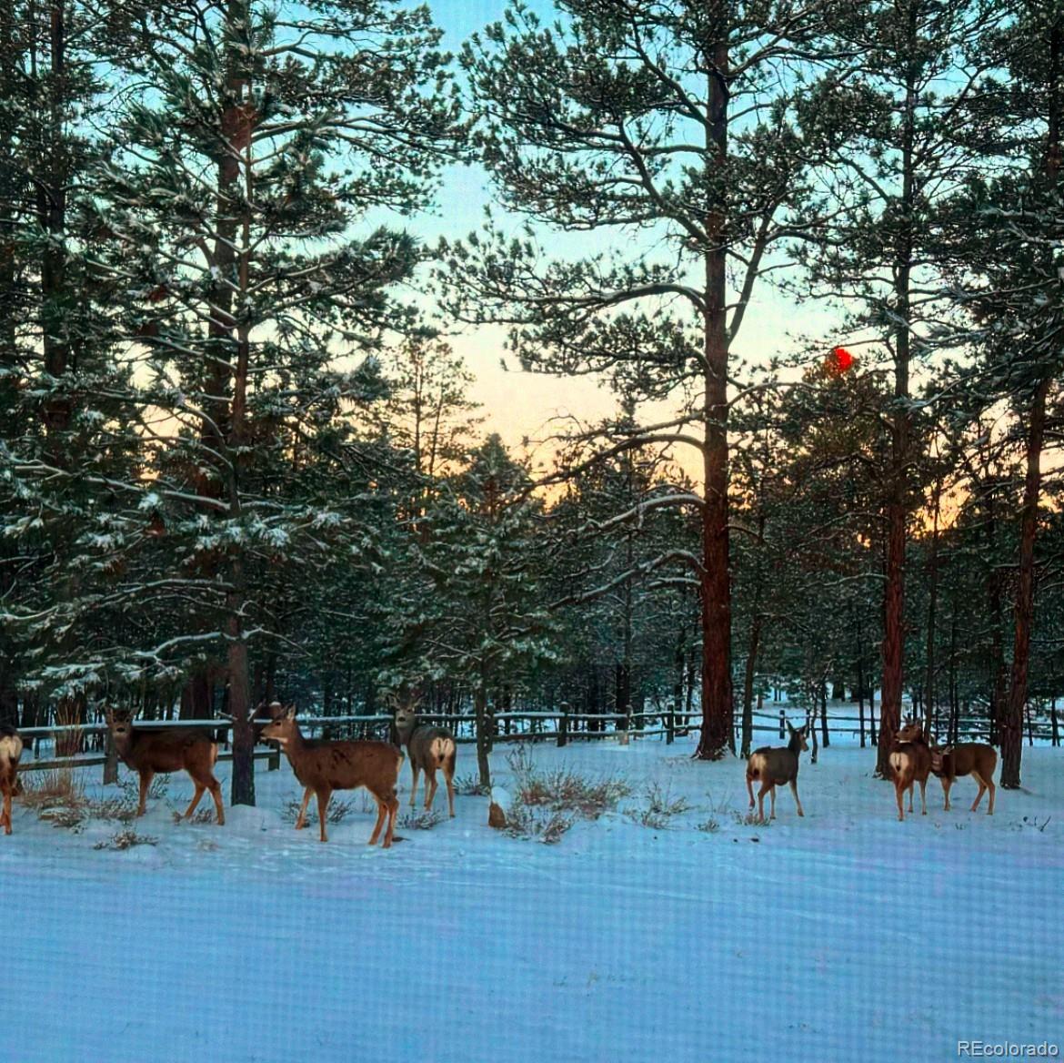 MLS Image #44 for 35877  elkridge run,elizabeth, Colorado