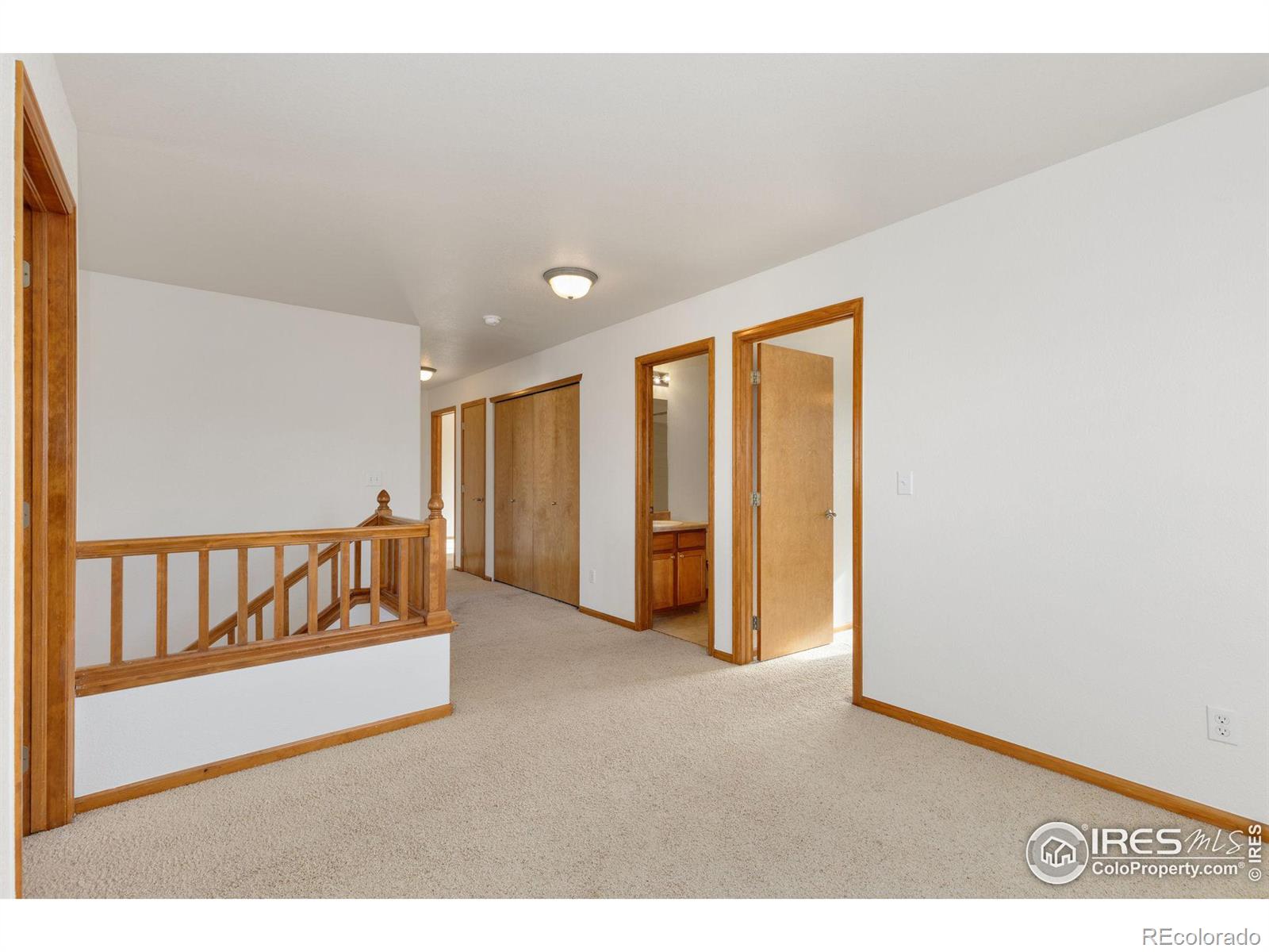 MLS Image #19 for 2429  tyrrhenian drive,longmont, Colorado