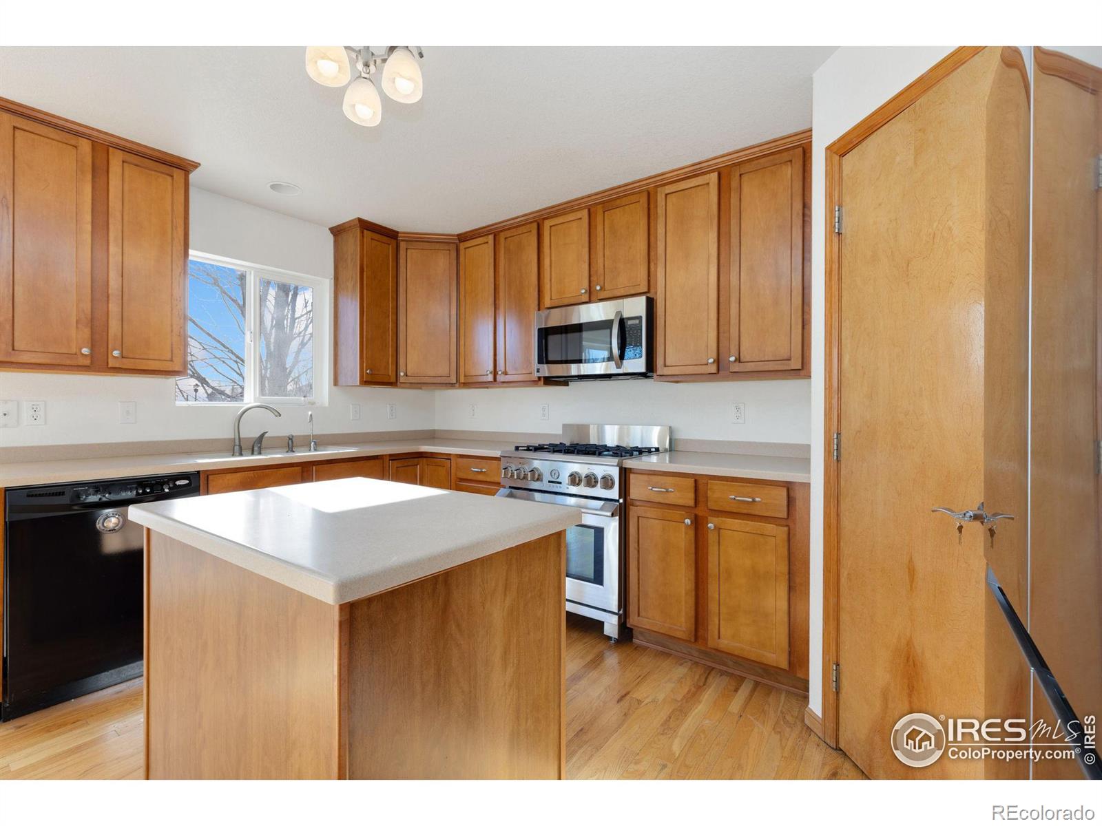 MLS Image #9 for 2429  tyrrhenian drive,longmont, Colorado