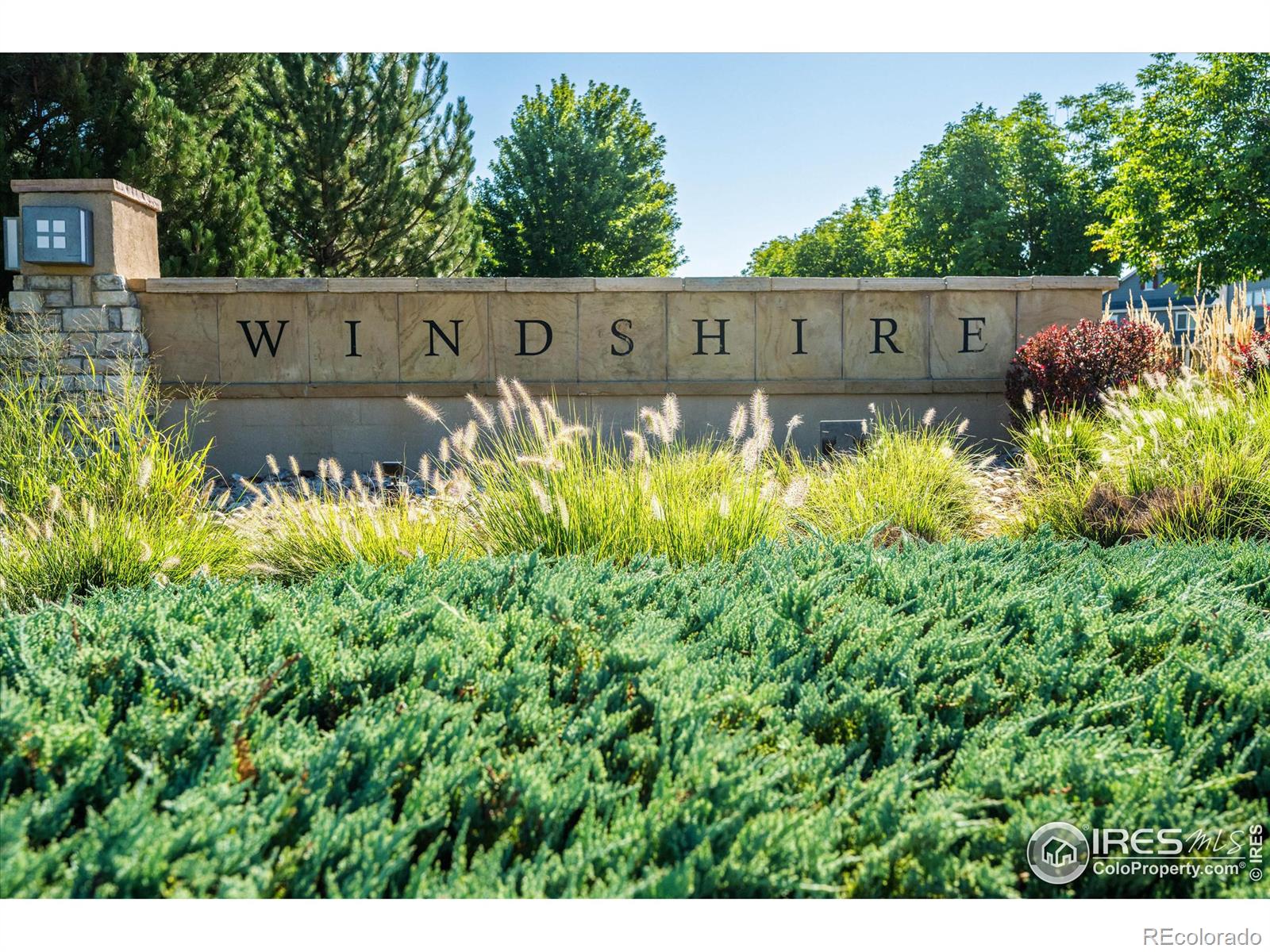 MLS Image #33 for 1604  sorenson drive,windsor, Colorado