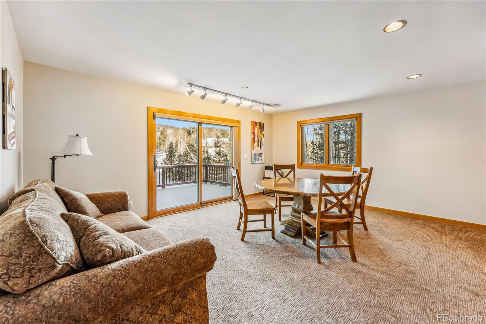 MLS Image #12 for 1765  red hawk road,silverthorne, Colorado