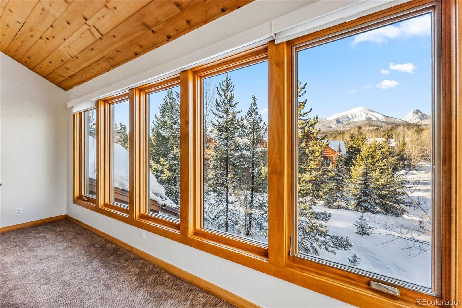 MLS Image #18 for 1765  red hawk road,silverthorne, Colorado