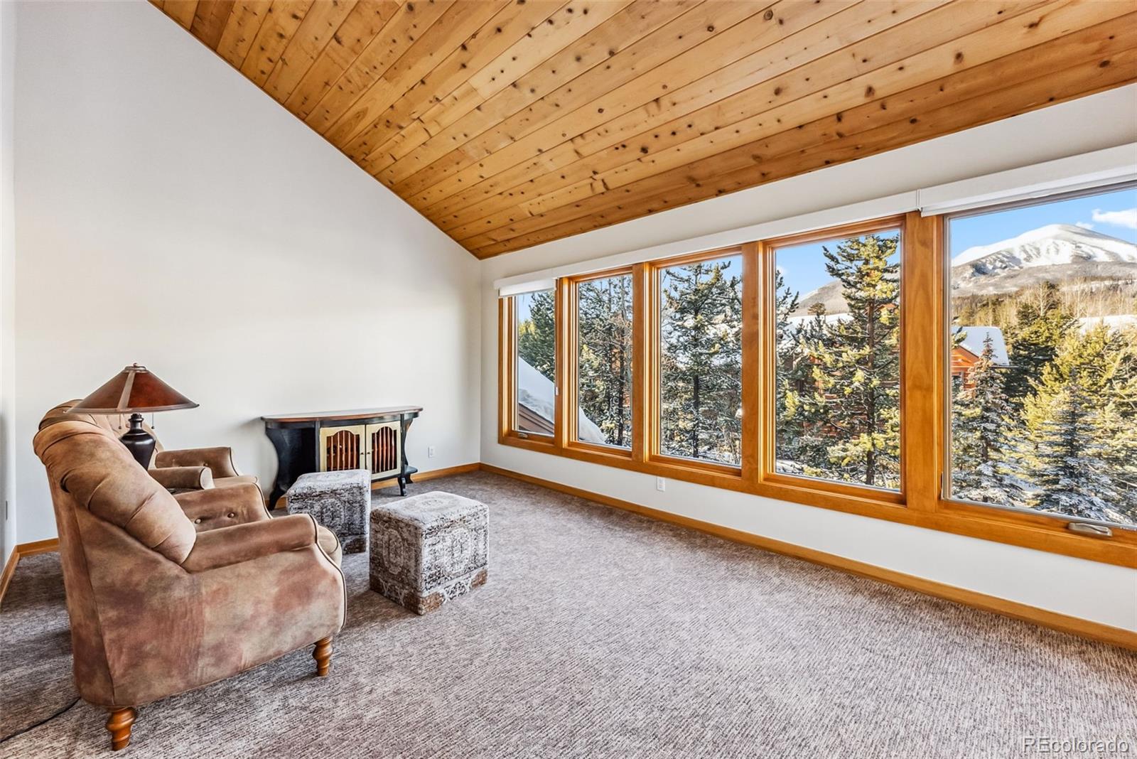 MLS Image #19 for 1765  red hawk road,silverthorne, Colorado