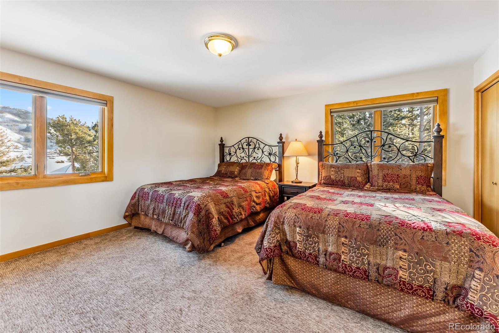 MLS Image #22 for 1765  red hawk road,silverthorne, Colorado