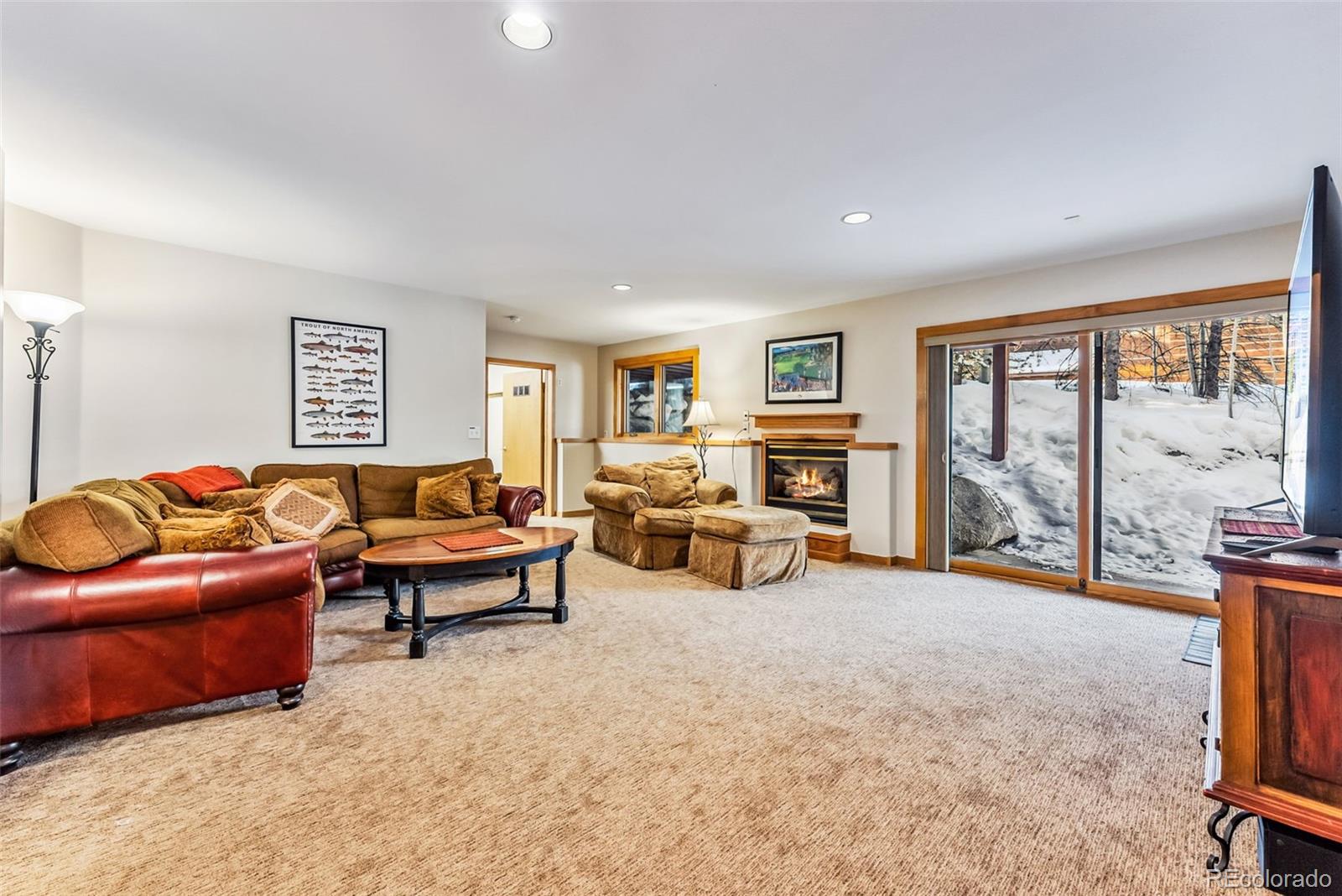 MLS Image #31 for 1765  red hawk road,silverthorne, Colorado