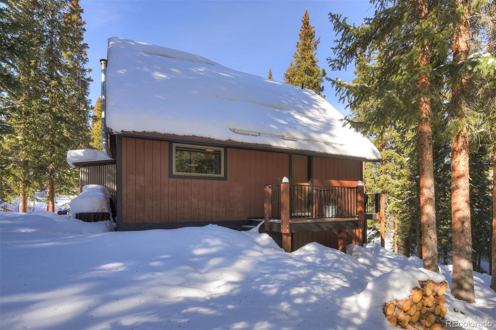 MLS Image #18 for 324  cr 672 ,breckenridge, Colorado