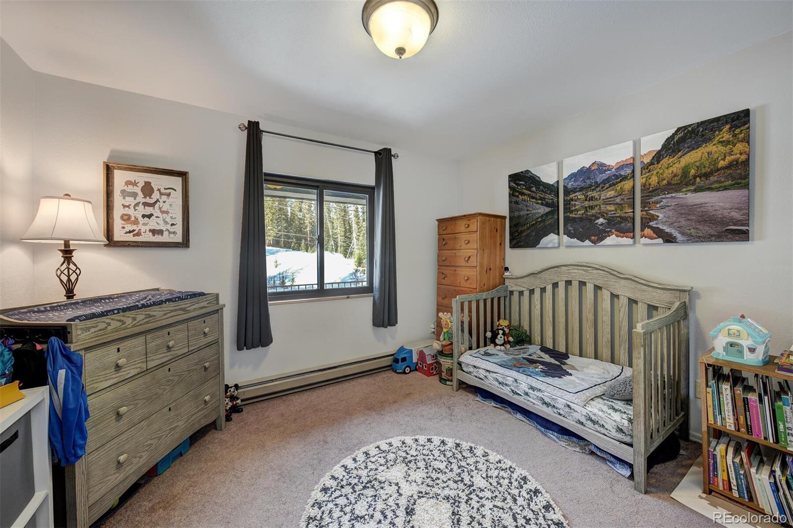 MLS Image #21 for 324  cr 672 ,breckenridge, Colorado