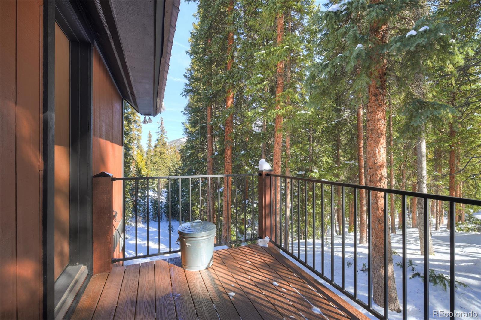 MLS Image #24 for 324  cr 672 ,breckenridge, Colorado