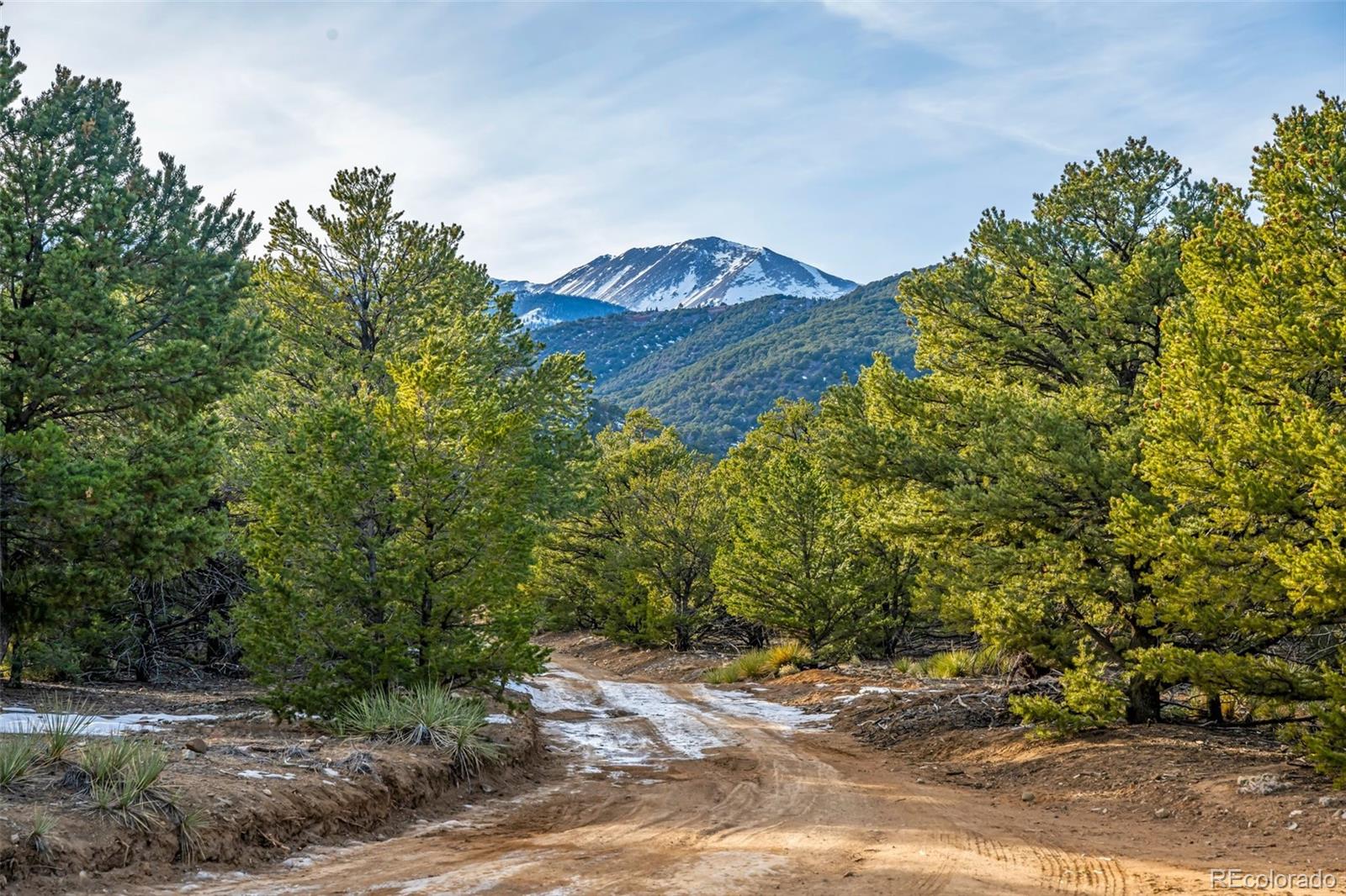 MLS Image #1 for 830  high peaks ranch road,coaldale, Colorado