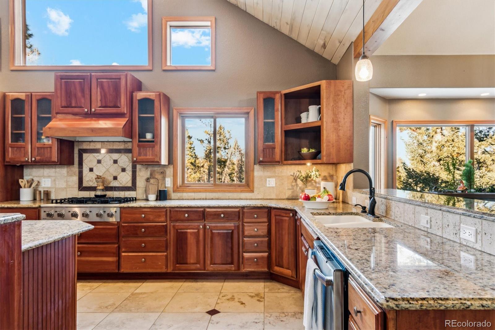 MLS Image #13 for 10120  apache spring drive,conifer, Colorado