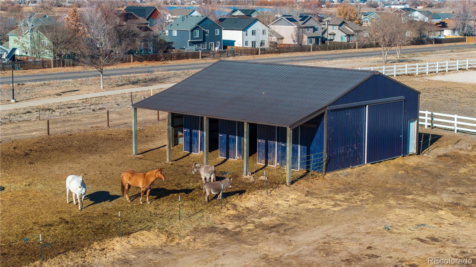 MLS Image #3 for 6073  county road 20 ,longmont, Colorado