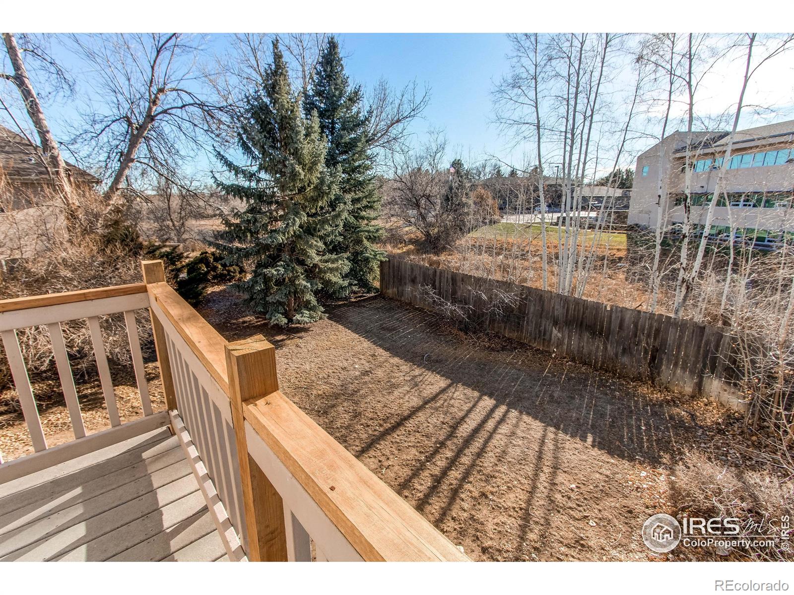 MLS Image #14 for 230  acacia drive,loveland, Colorado