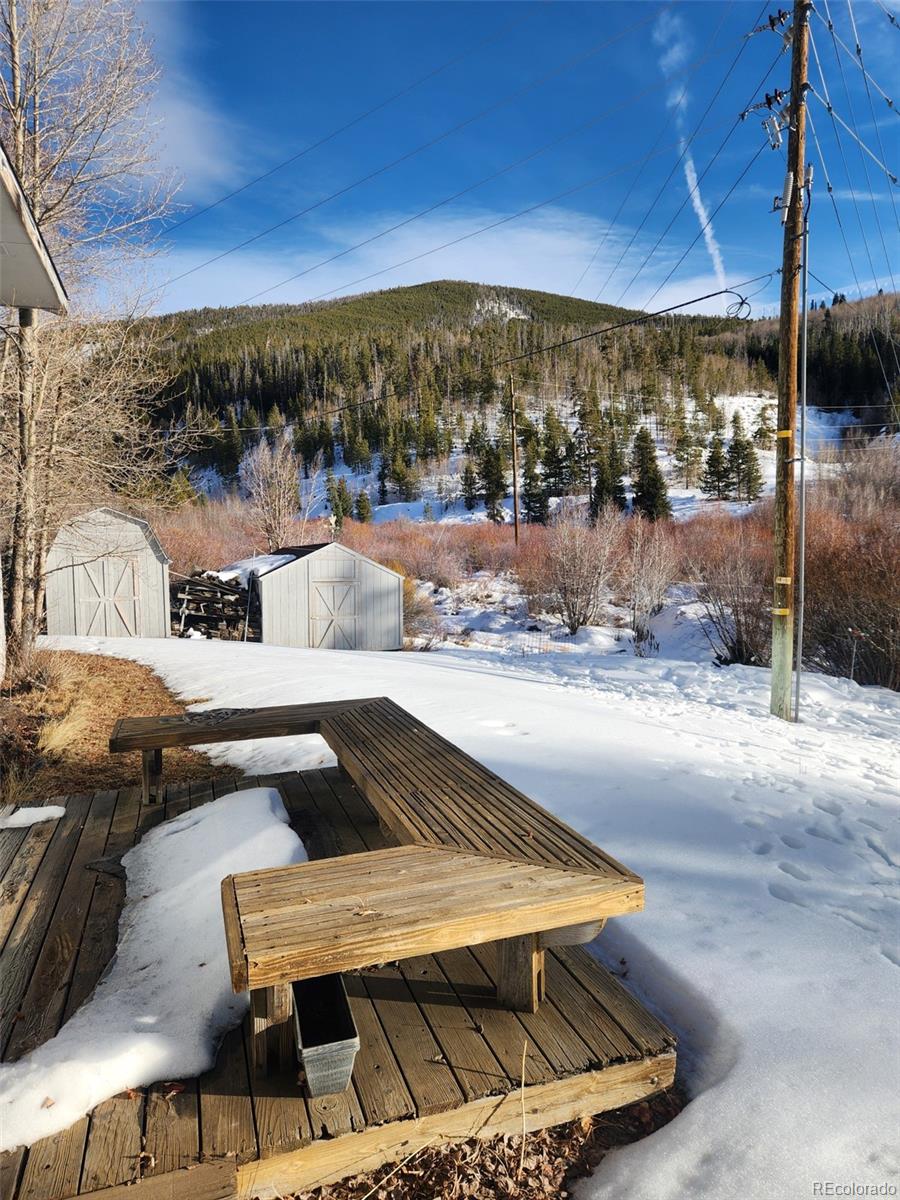 MLS Image #2 for 974  straight creek drive,dillon, Colorado