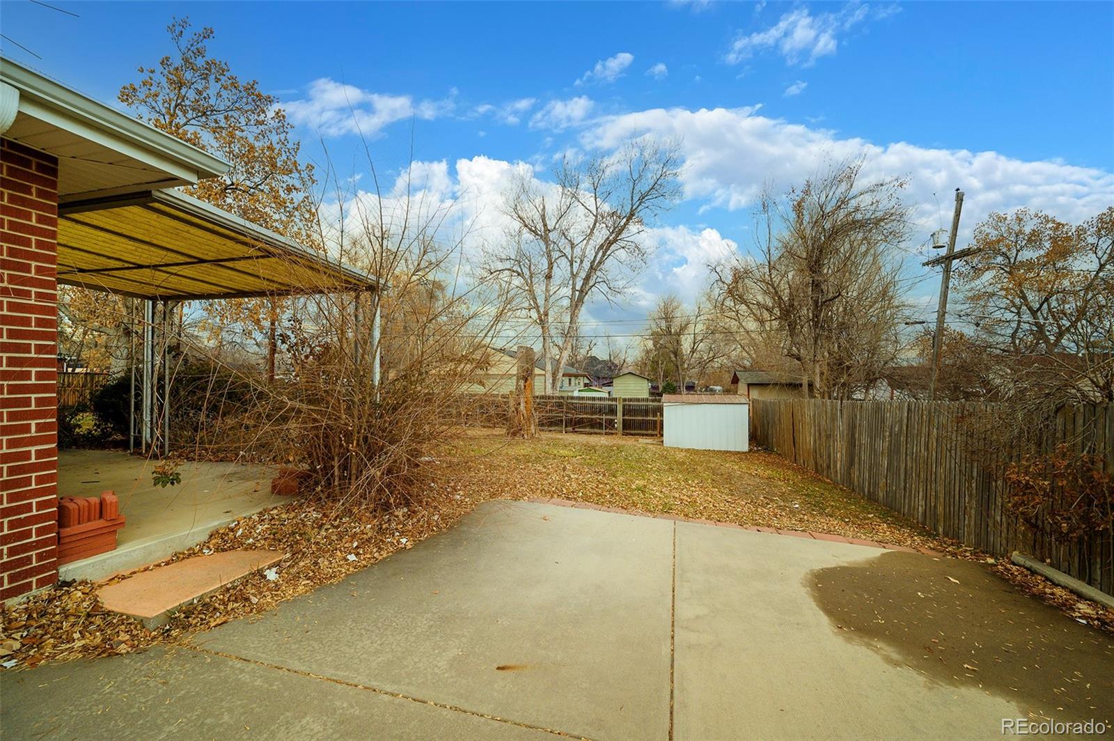 MLS Image #19 for 2598  teller street,lakewood, Colorado