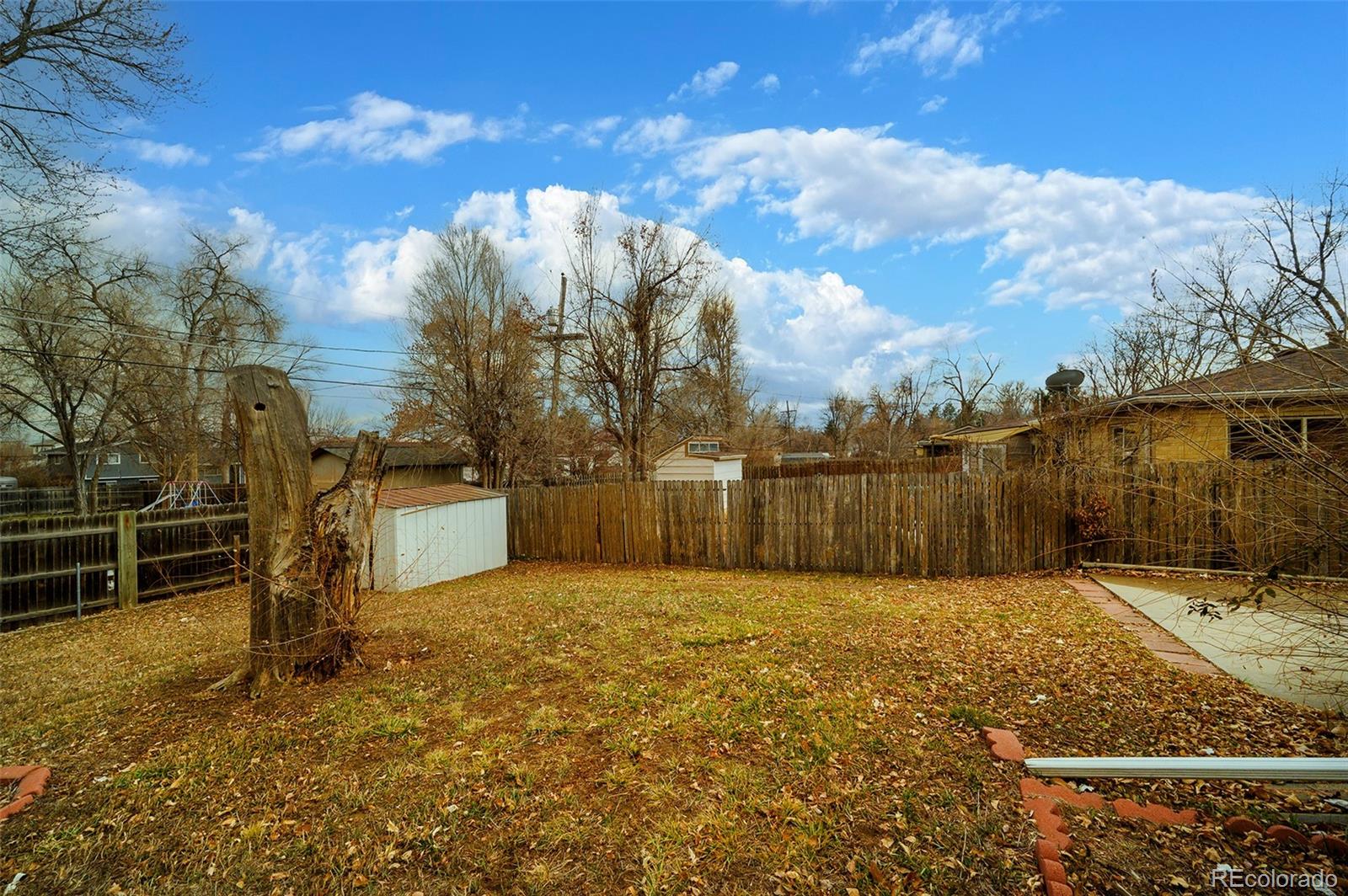 MLS Image #23 for 2598  teller street,lakewood, Colorado