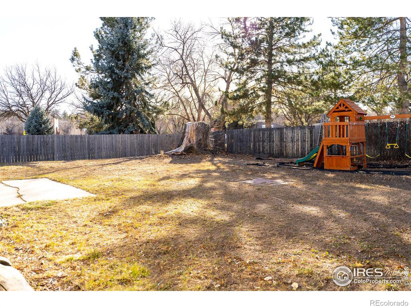 MLS Image #20 for 1513  yount street,fort collins, Colorado