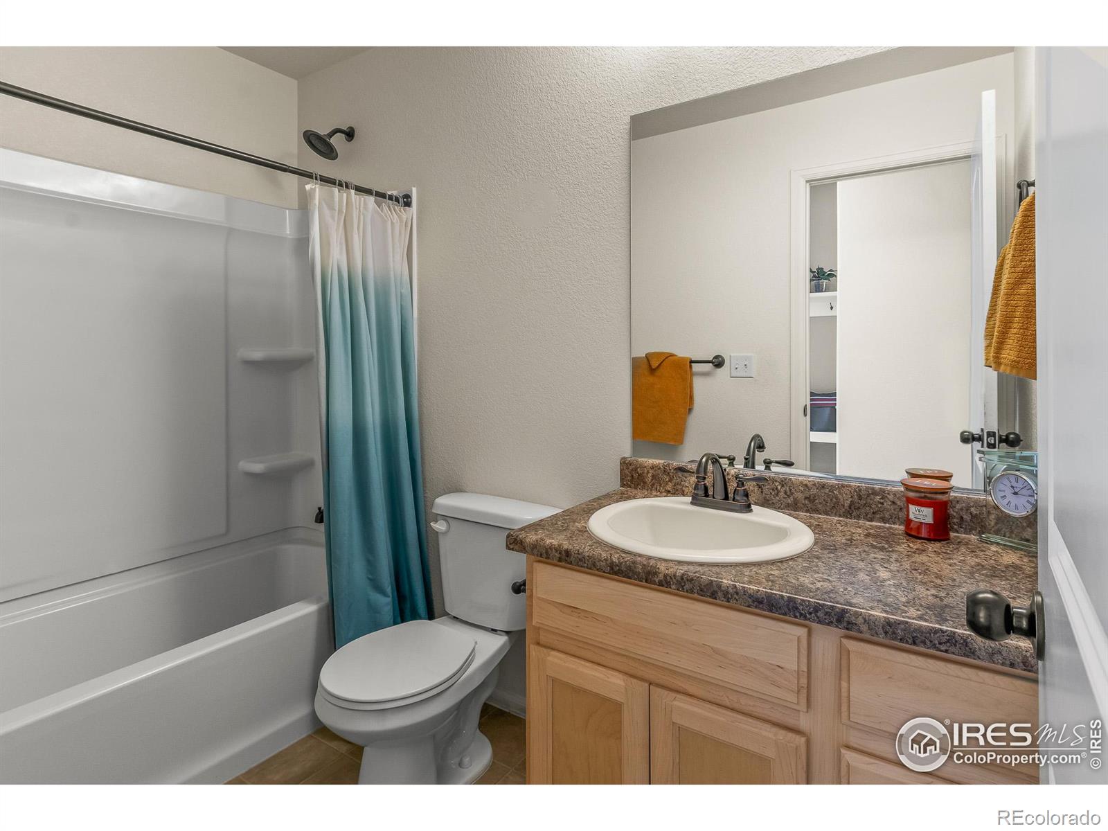 MLS Image #11 for 319  torreys drive,severance, Colorado