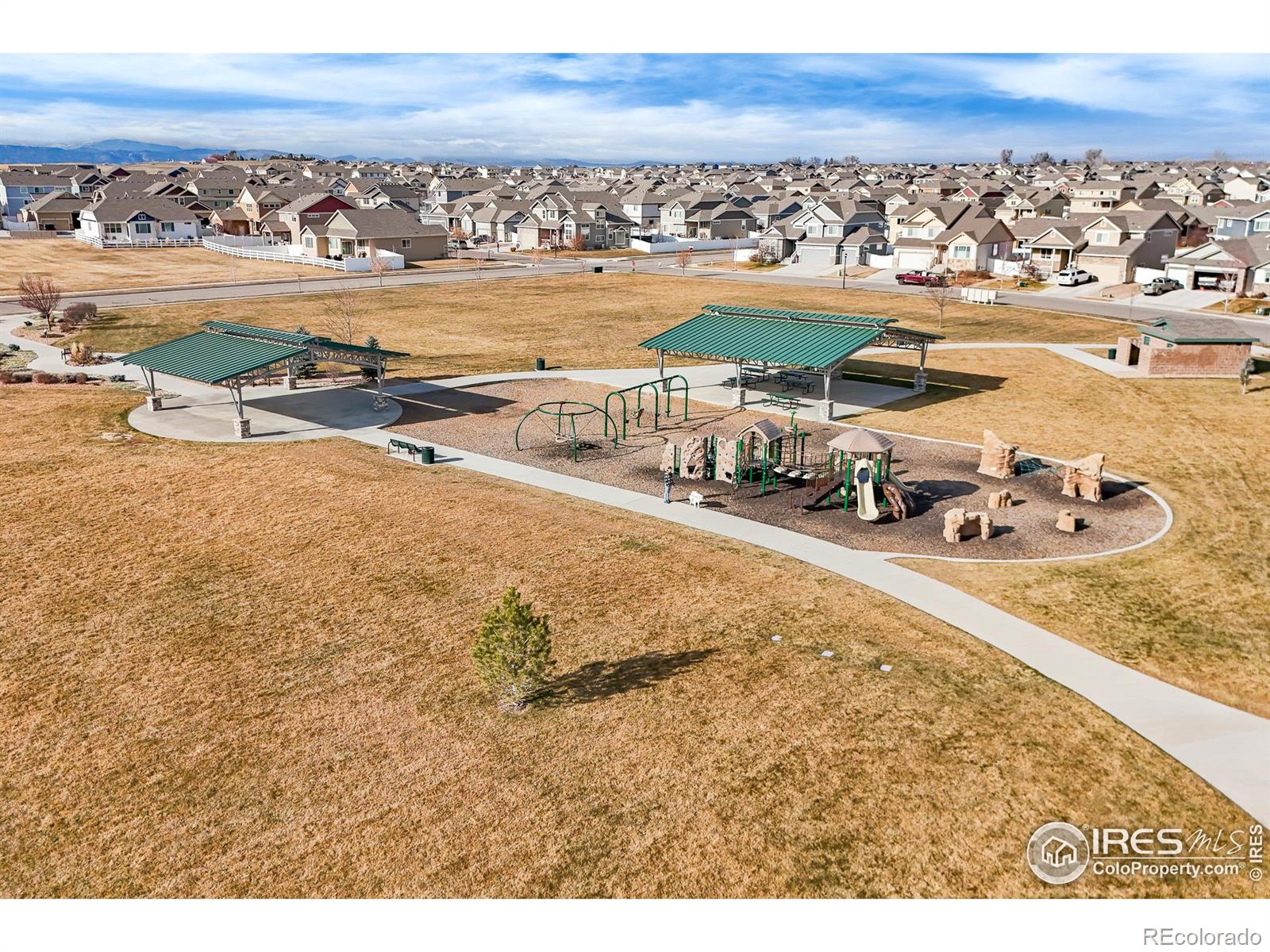 MLS Image #18 for 319  torreys drive,severance, Colorado