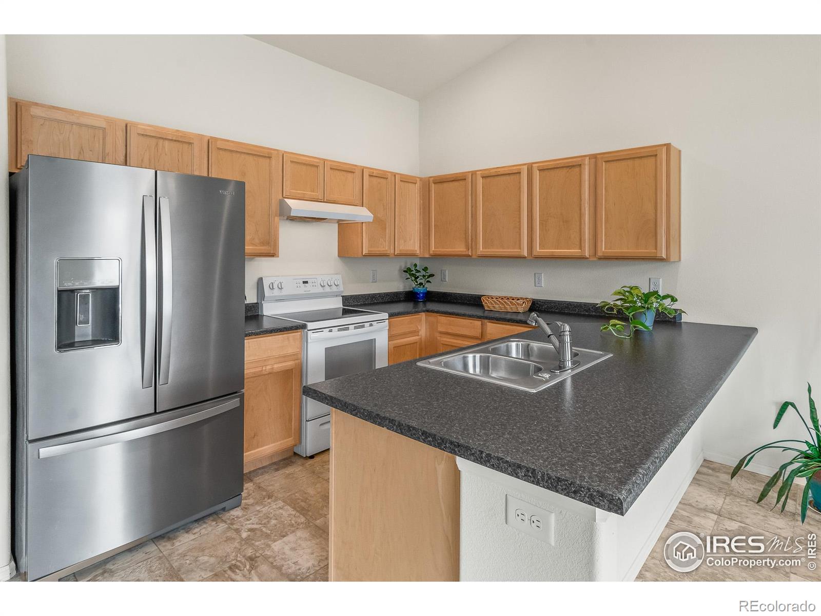 MLS Image #4 for 319  torreys drive,severance, Colorado