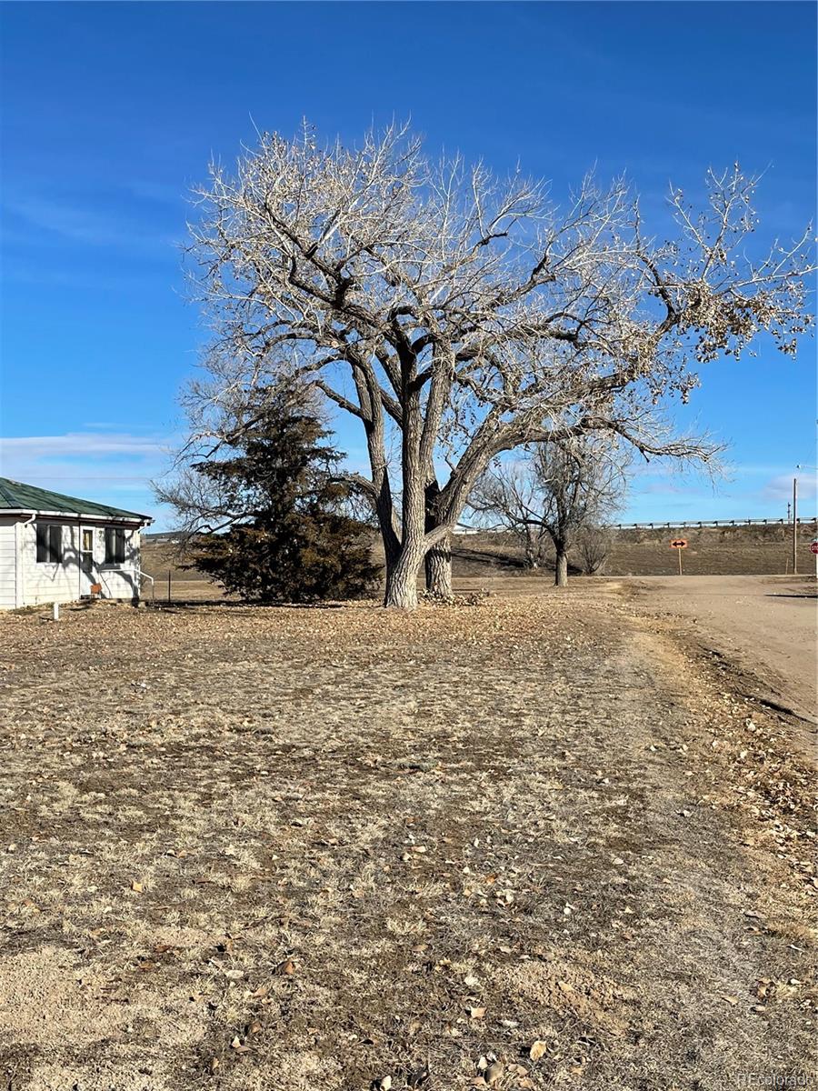 MLS Image #8 for 445  elm street,deer trail, Colorado