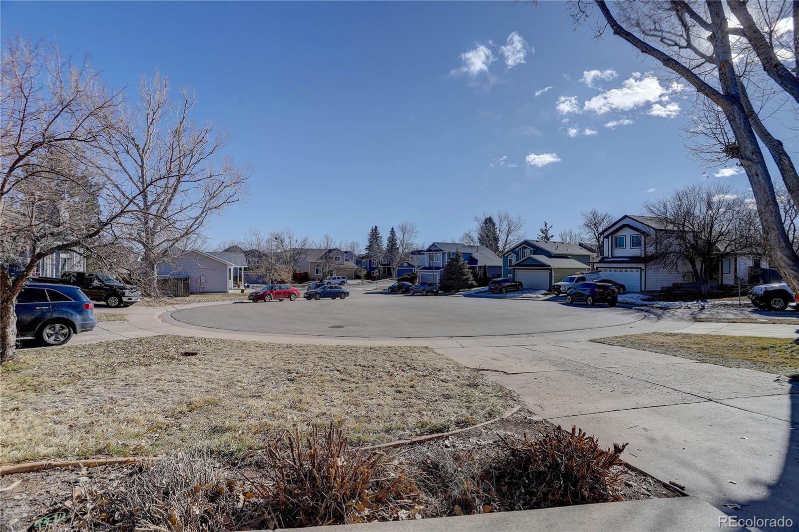 MLS Image #3 for 5305  willow court,castle rock, Colorado