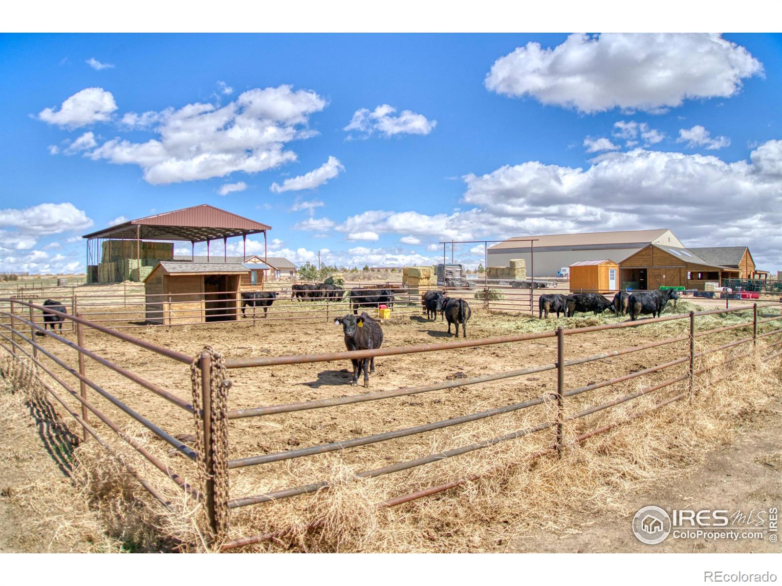 MLS Image #31 for 49055  county road 17 ,wellington, Colorado