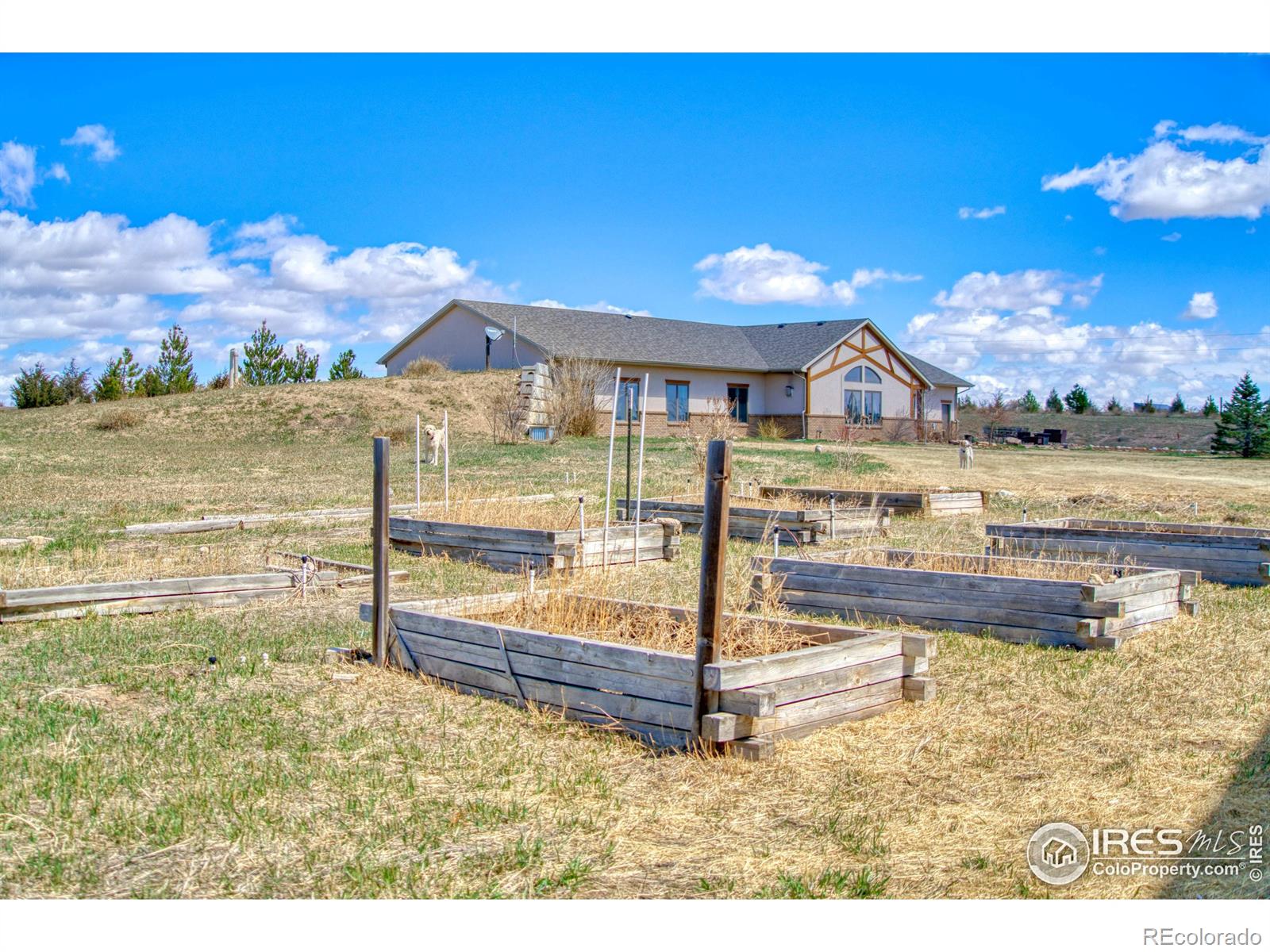 MLS Image #34 for 49055  county road 17 ,wellington, Colorado