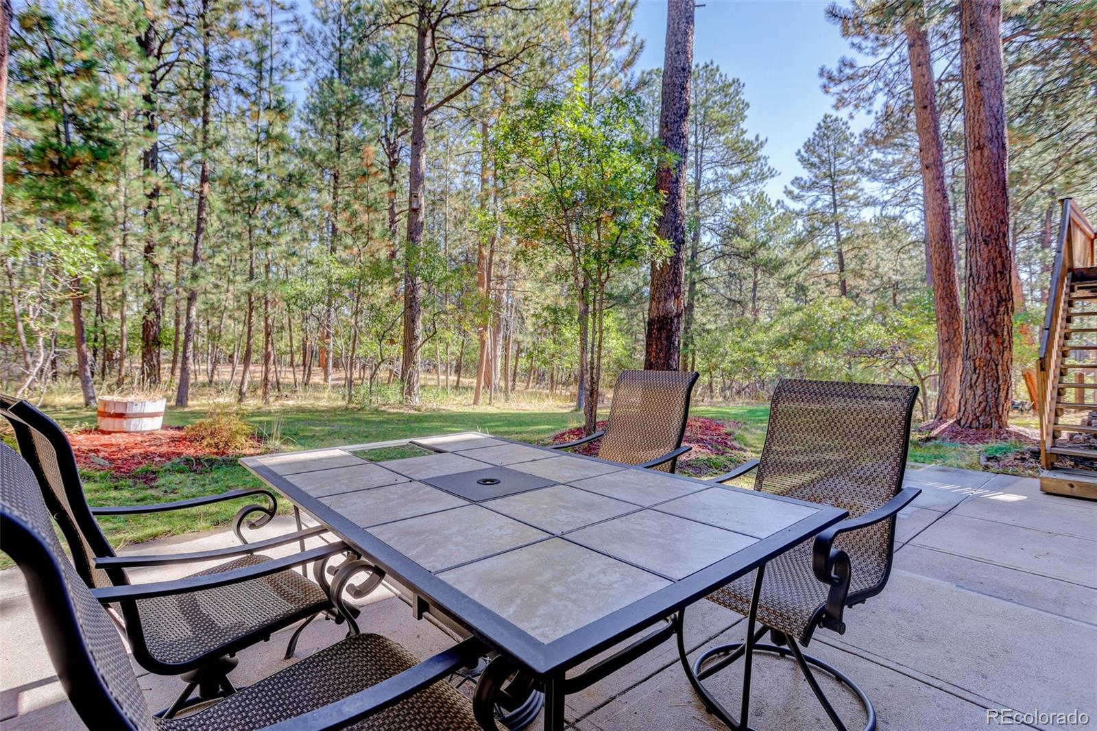 MLS Image #41 for 1065  independence drive,larkspur, Colorado