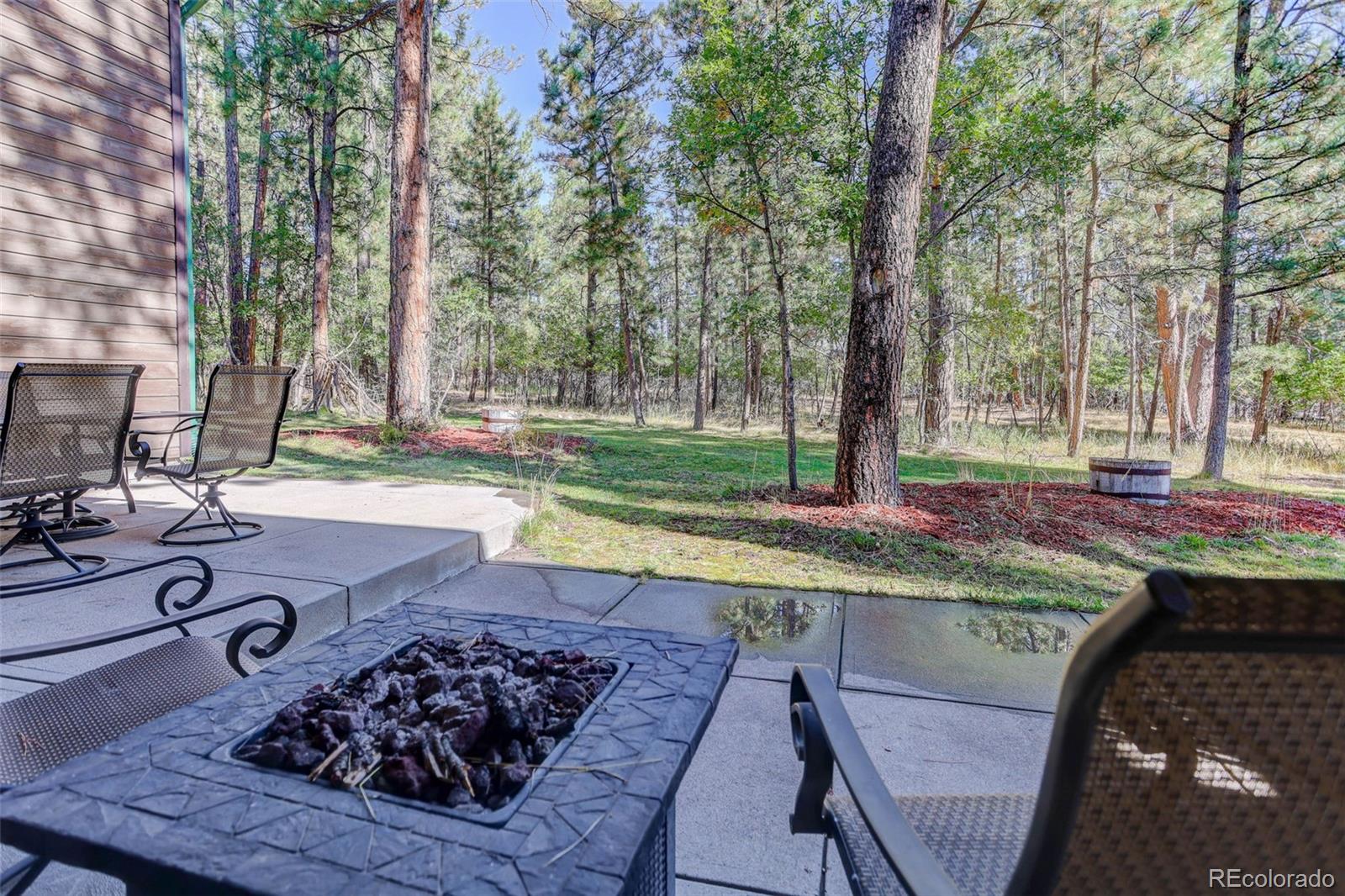 MLS Image #42 for 1065  independence drive,larkspur, Colorado