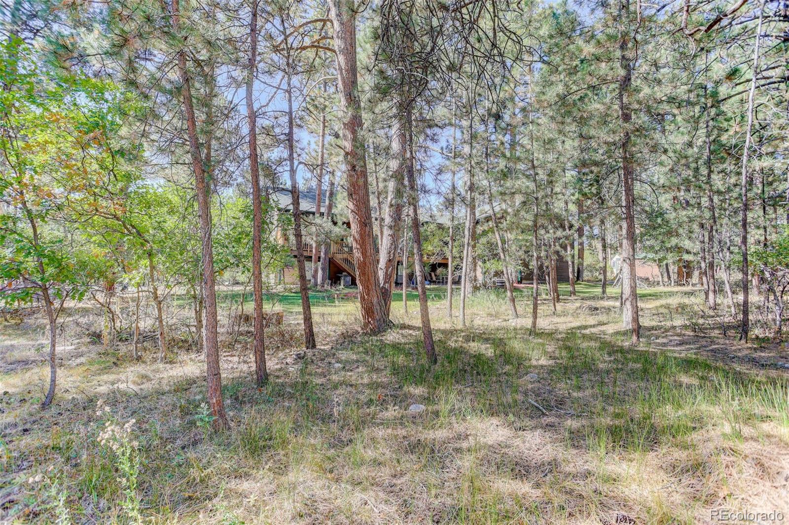 MLS Image #47 for 1065  independence drive,larkspur, Colorado