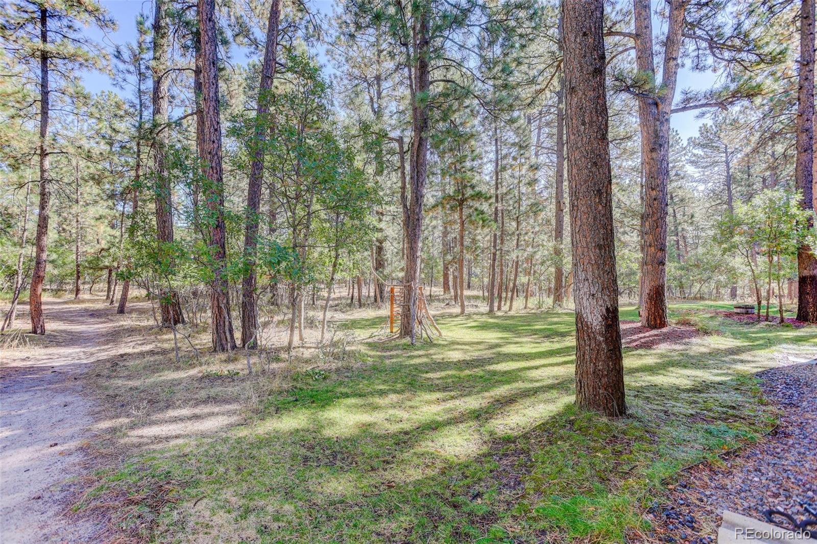 MLS Image #48 for 1065  independence drive,larkspur, Colorado