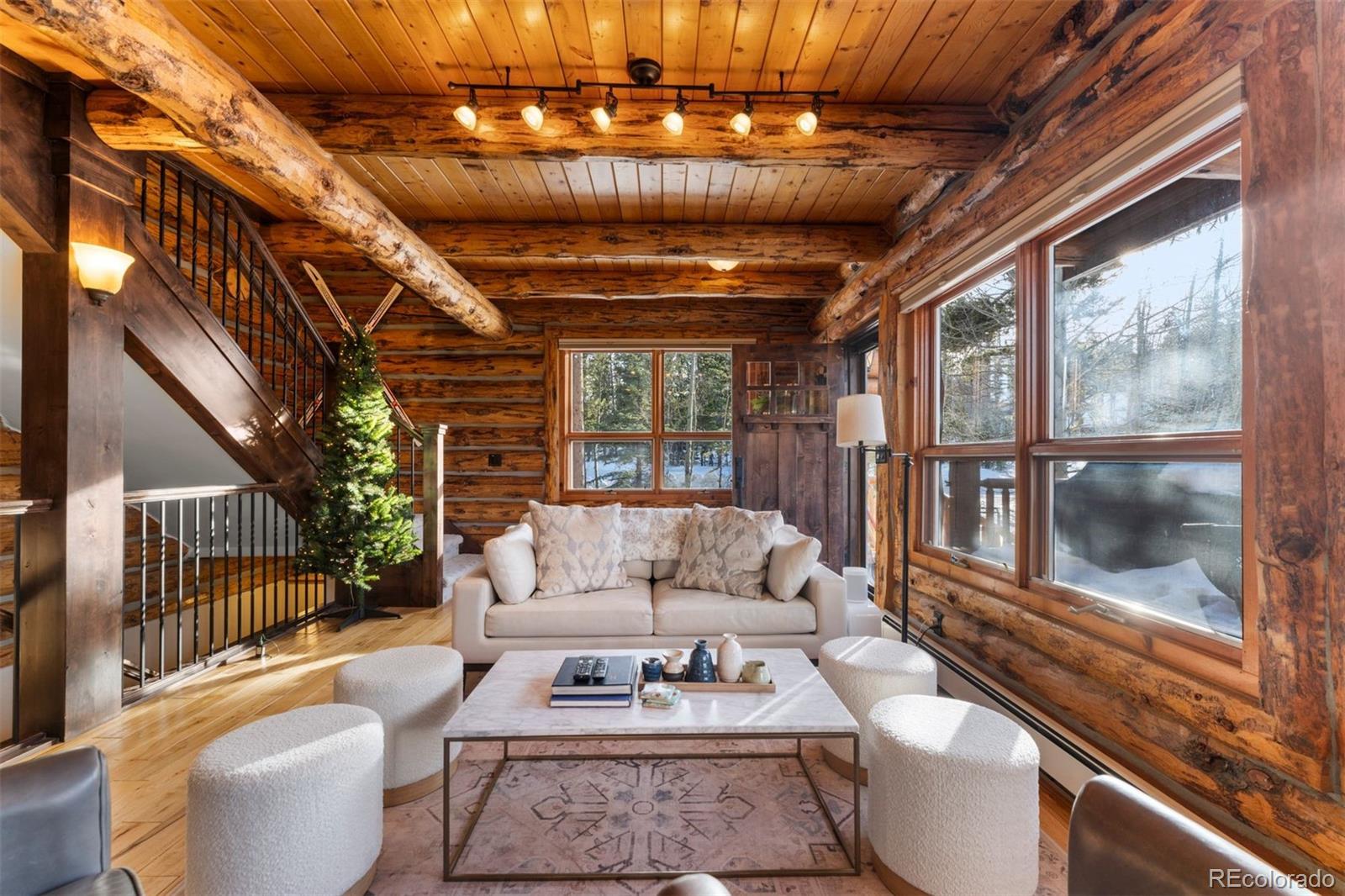 MLS Image #5 for 878  american way,breckenridge, Colorado