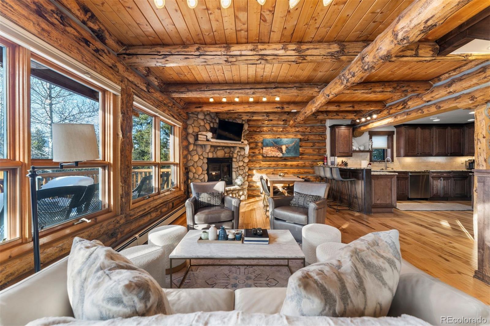 MLS Image #6 for 878  american way,breckenridge, Colorado