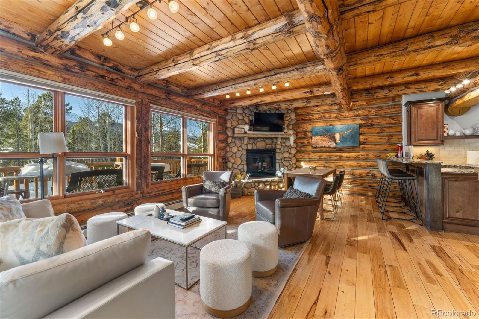 MLS Image #7 for 878  american way,breckenridge, Colorado