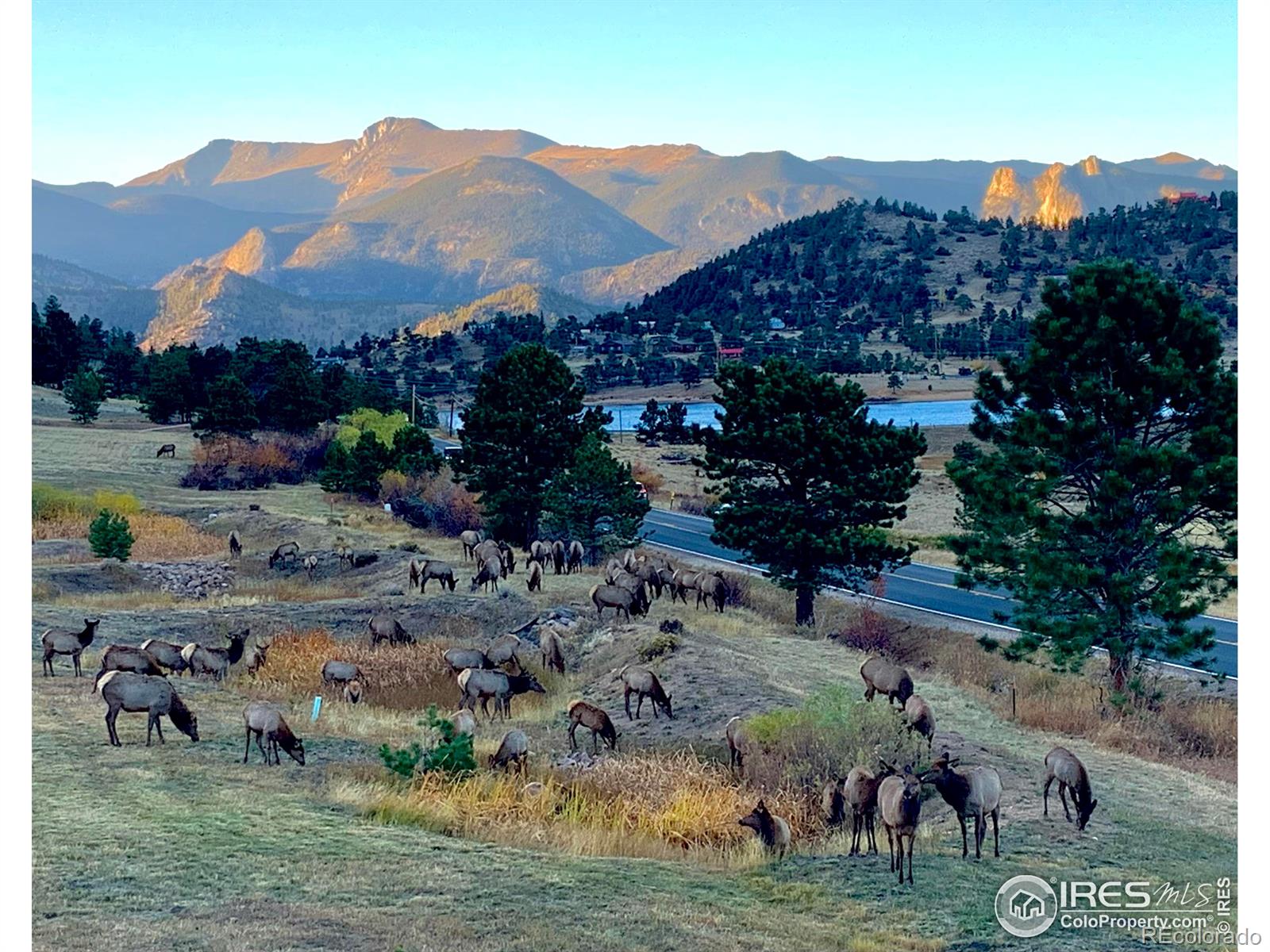 MLS Image #38 for 315  kiowa drive,estes park, Colorado