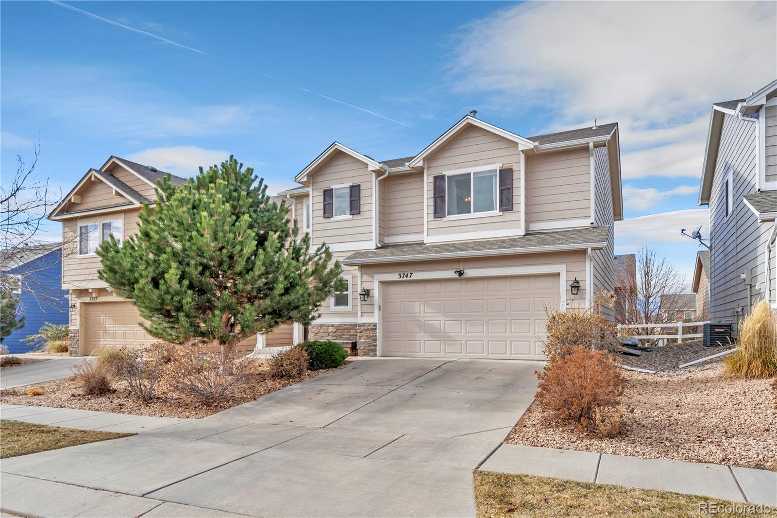 MLS Image #2 for 3747  swainson drive,colorado springs, Colorado