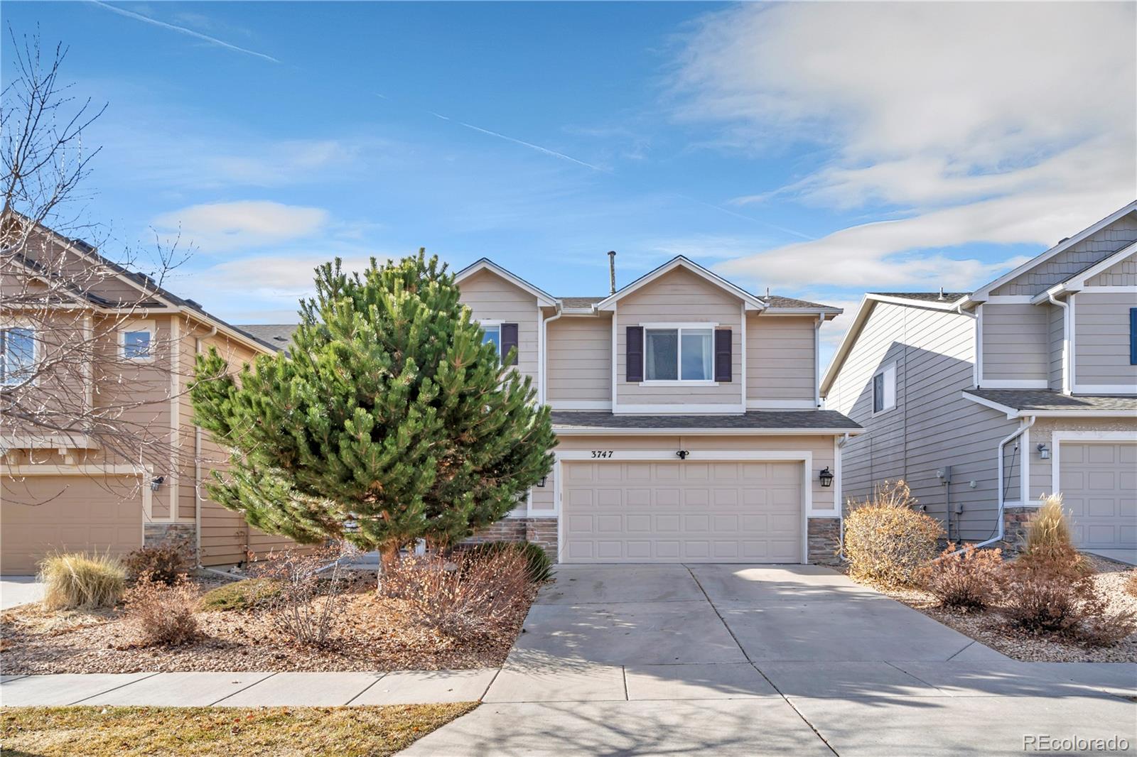 MLS Image #3 for 3747  swainson drive,colorado springs, Colorado