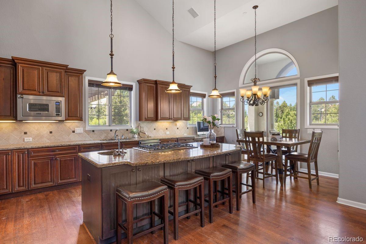 MLS Image #11 for 6299  ellingwood point place,castle rock, Colorado