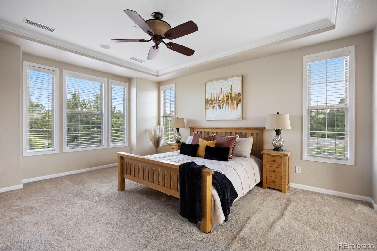 MLS Image #24 for 6299  ellingwood point place,castle rock, Colorado