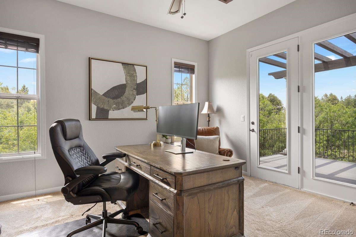 MLS Image #5 for 6299  ellingwood point place,castle rock, Colorado