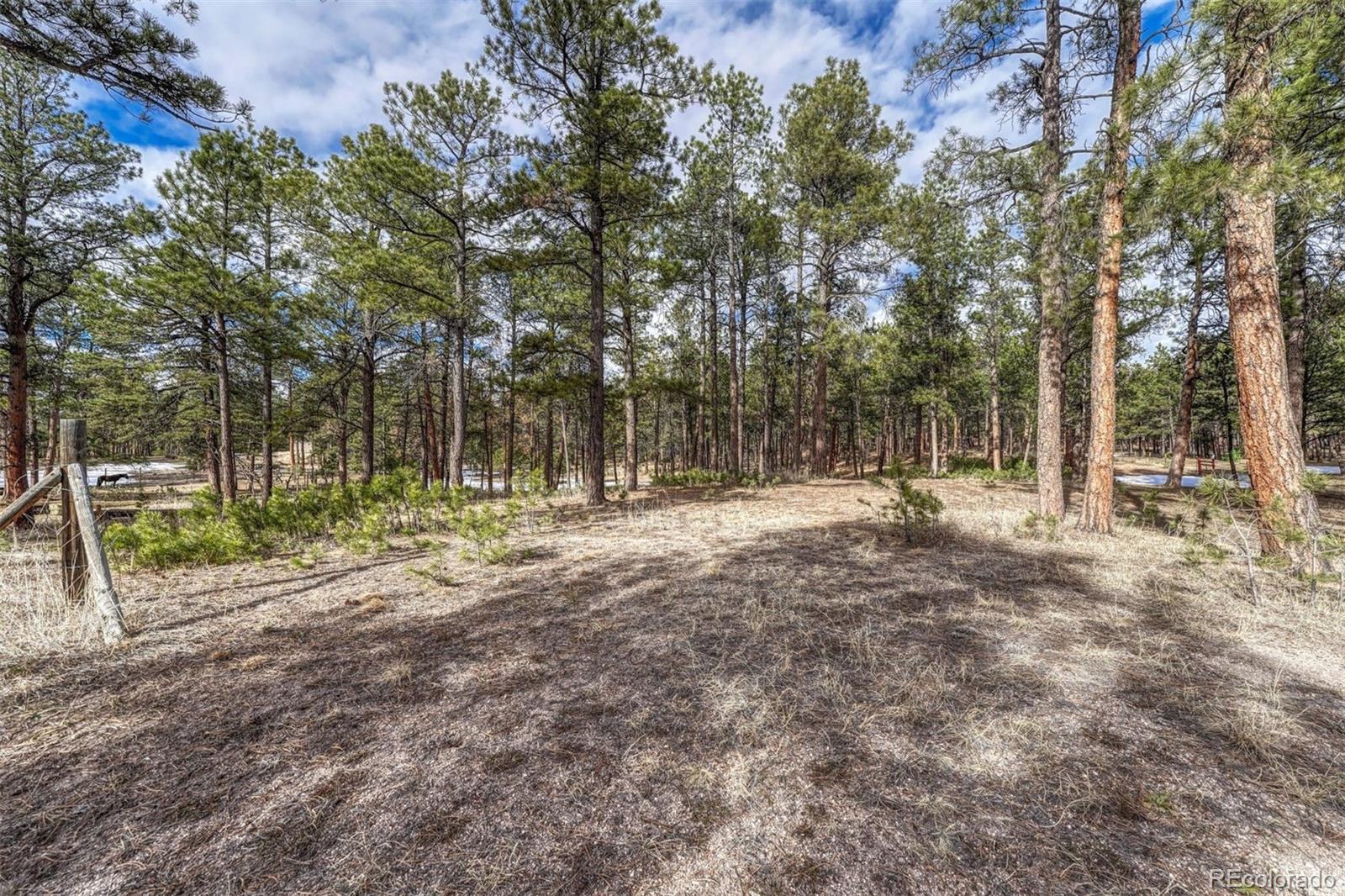 MLS Image #35 for 7260  burgess road,colorado springs, Colorado