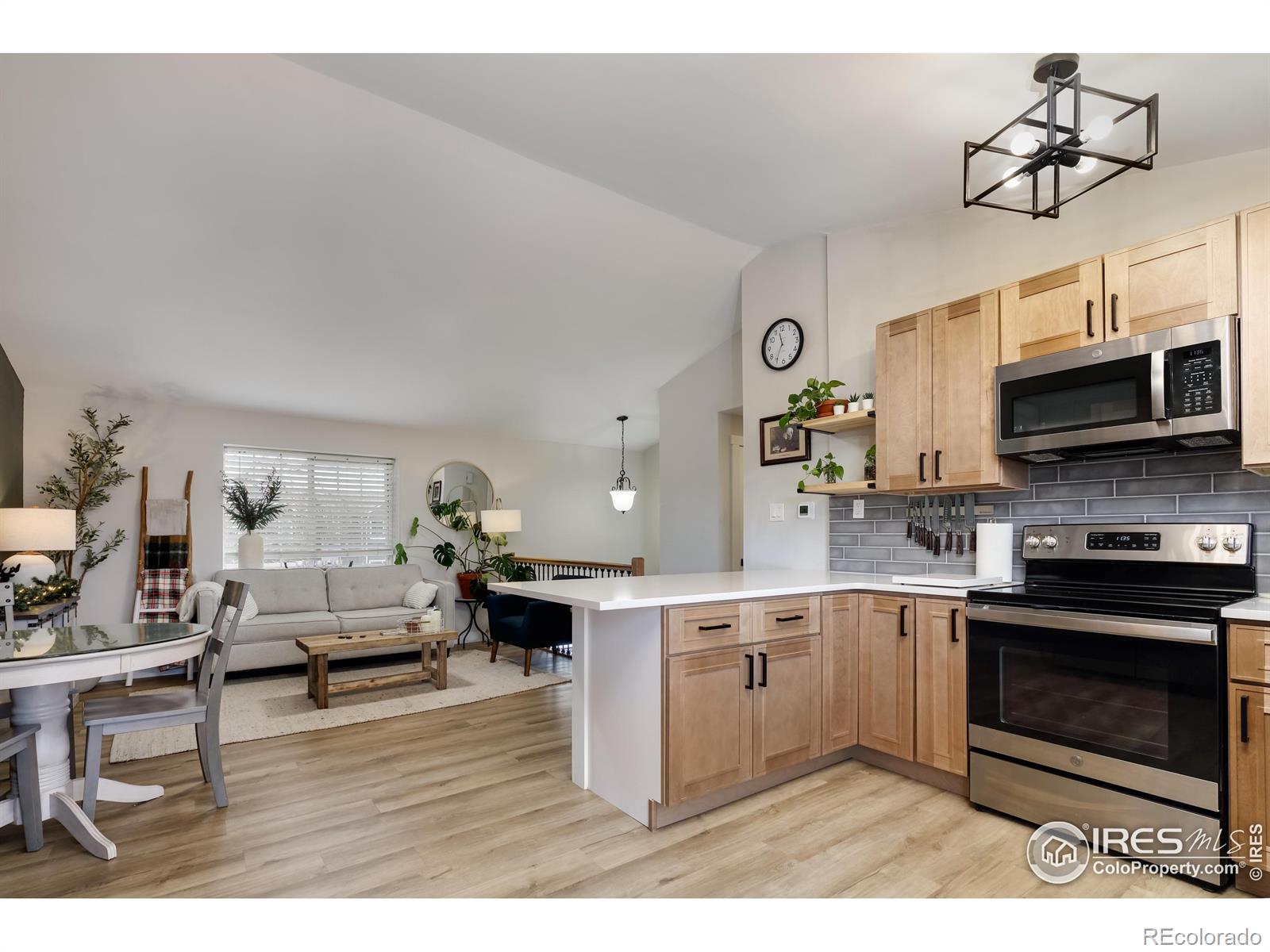 MLS Image #5 for 2048  spencer street,longmont, Colorado